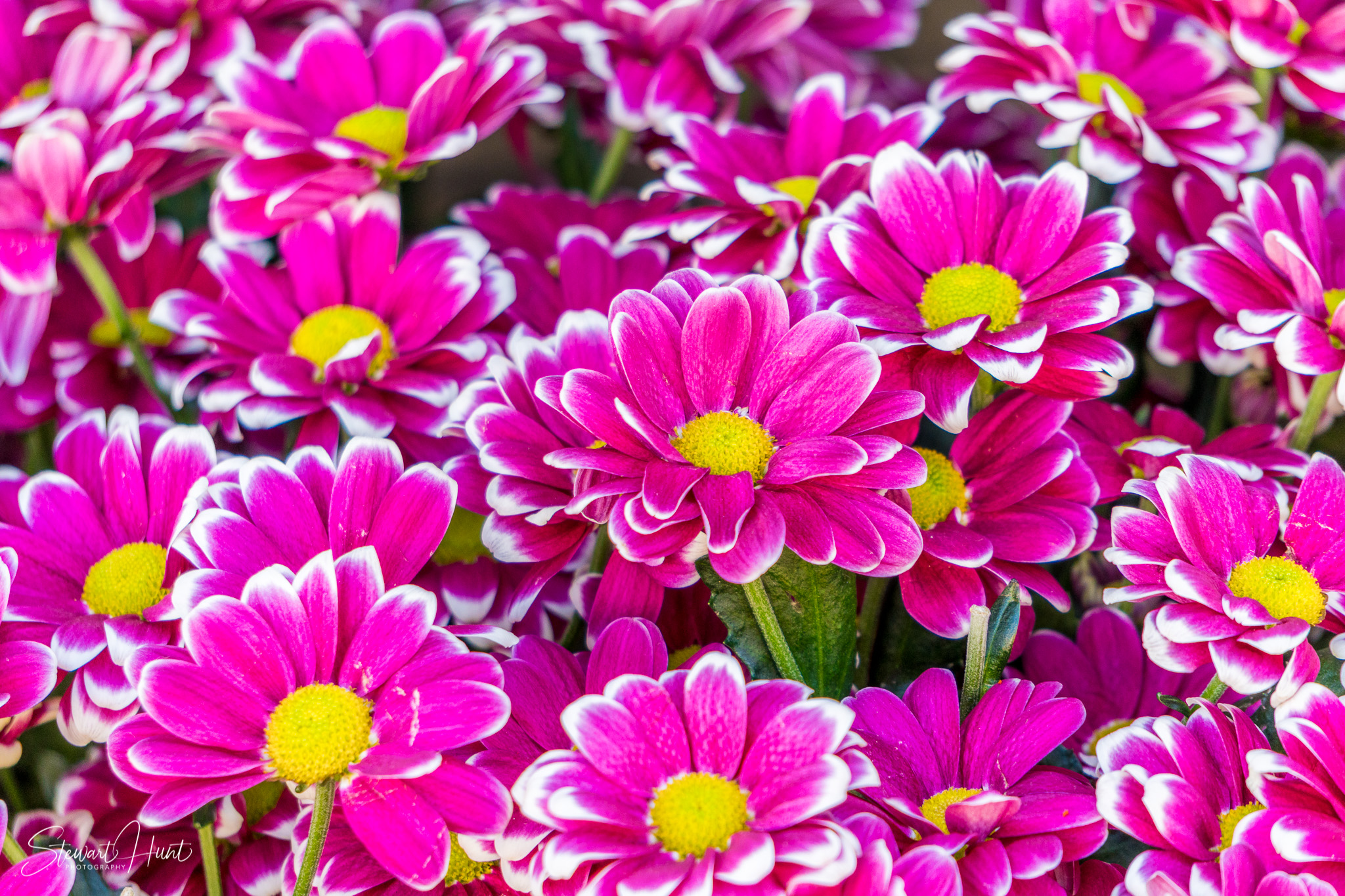 Slideshow Images 112