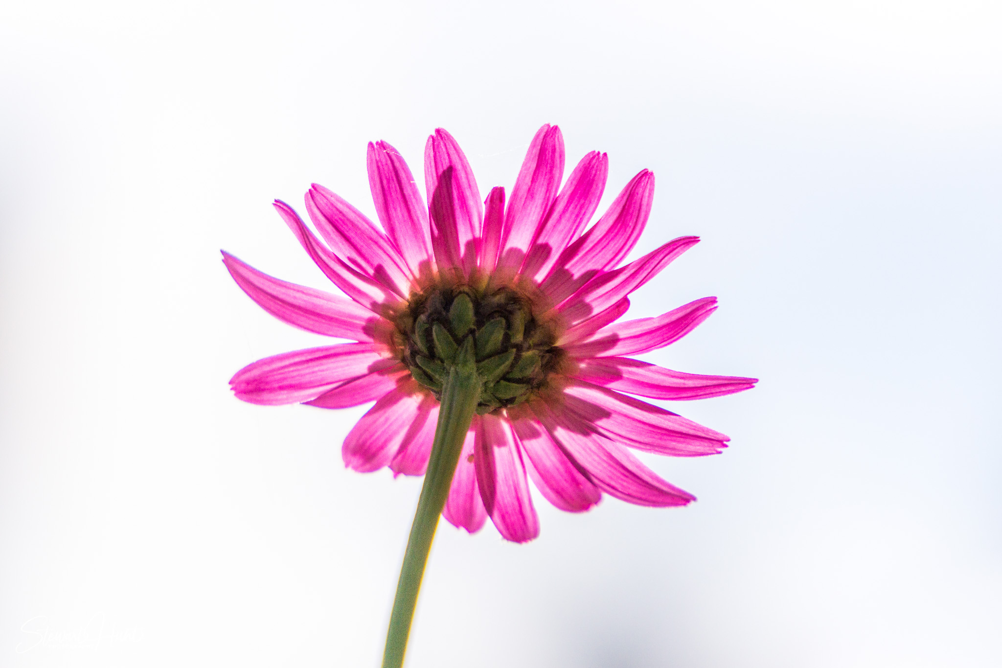 Peru 2016 A6000 6859