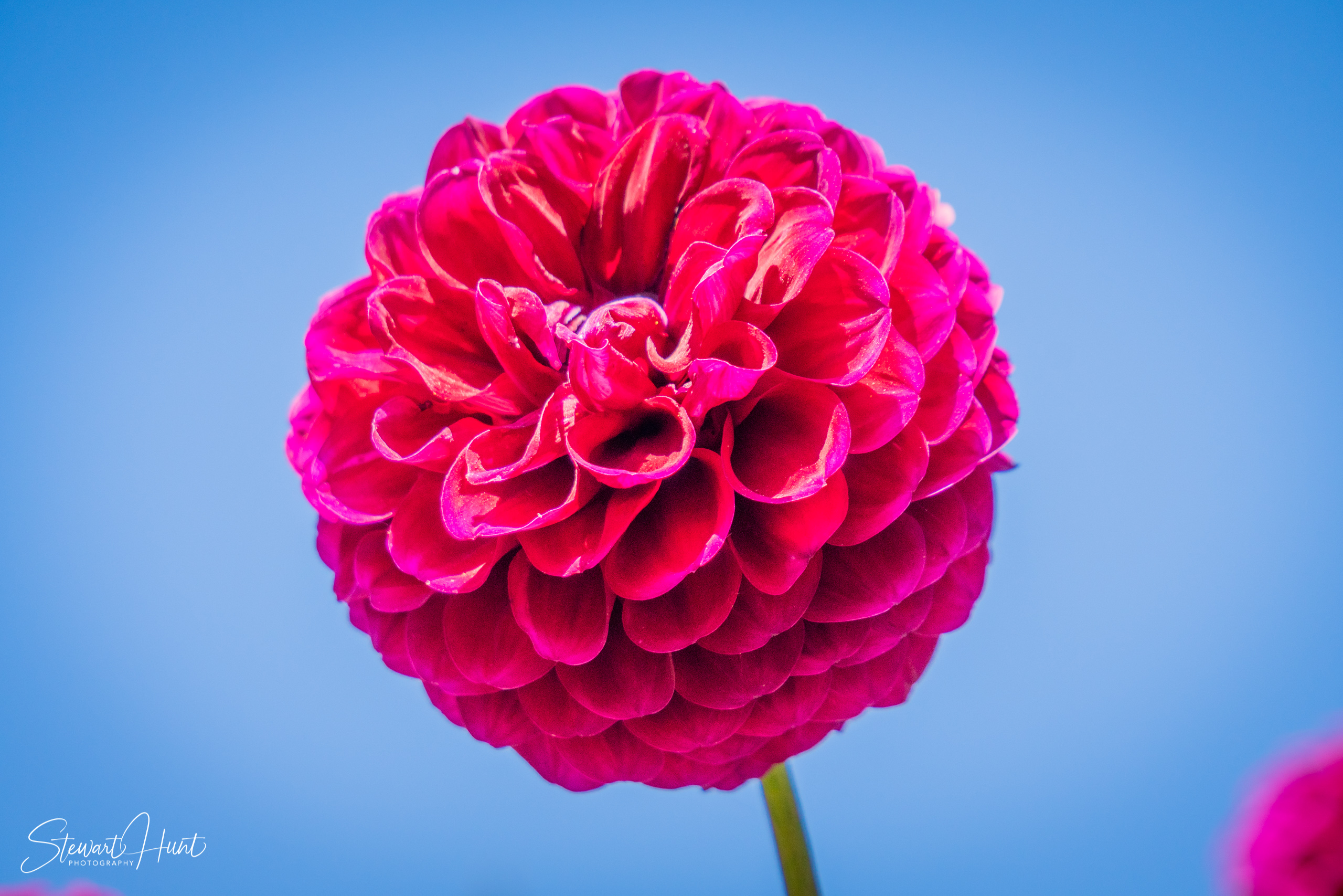 20190309 Ballarat 5763