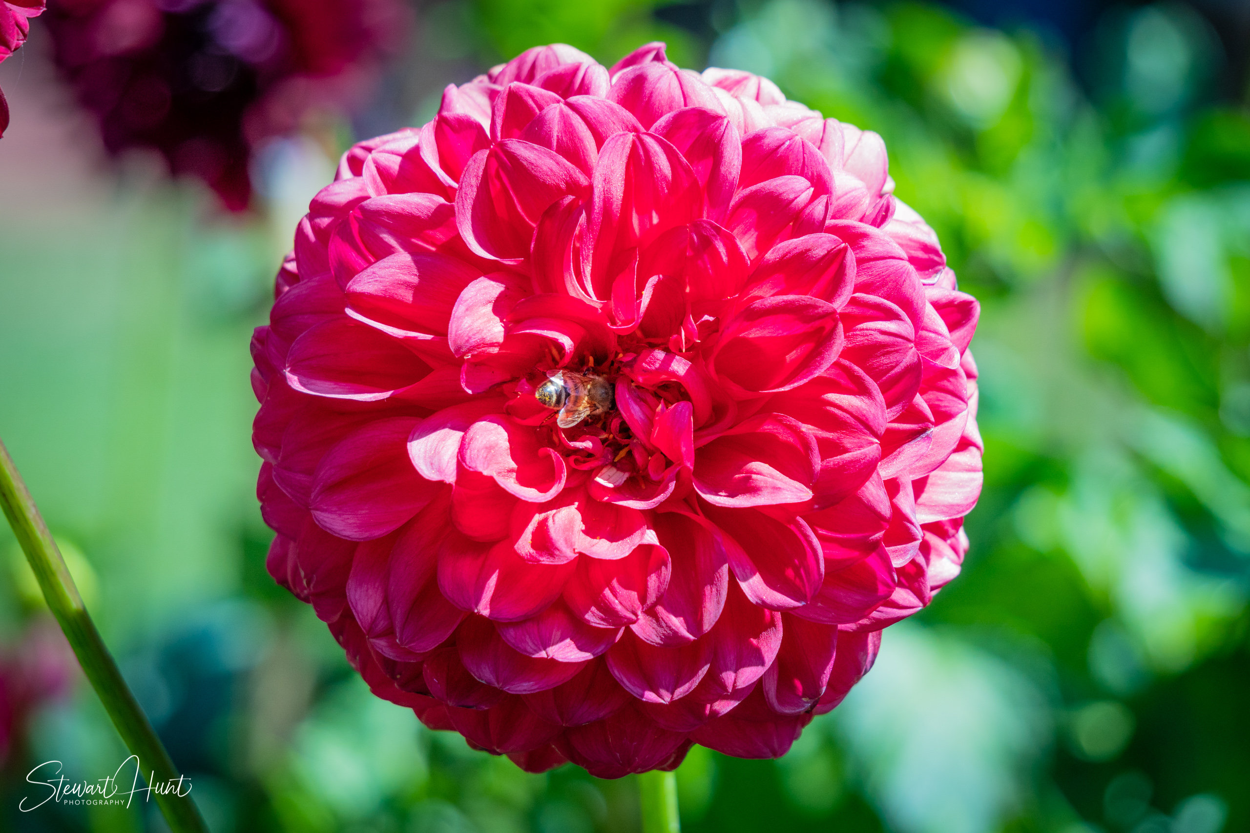 20190309 Ballarat 5767