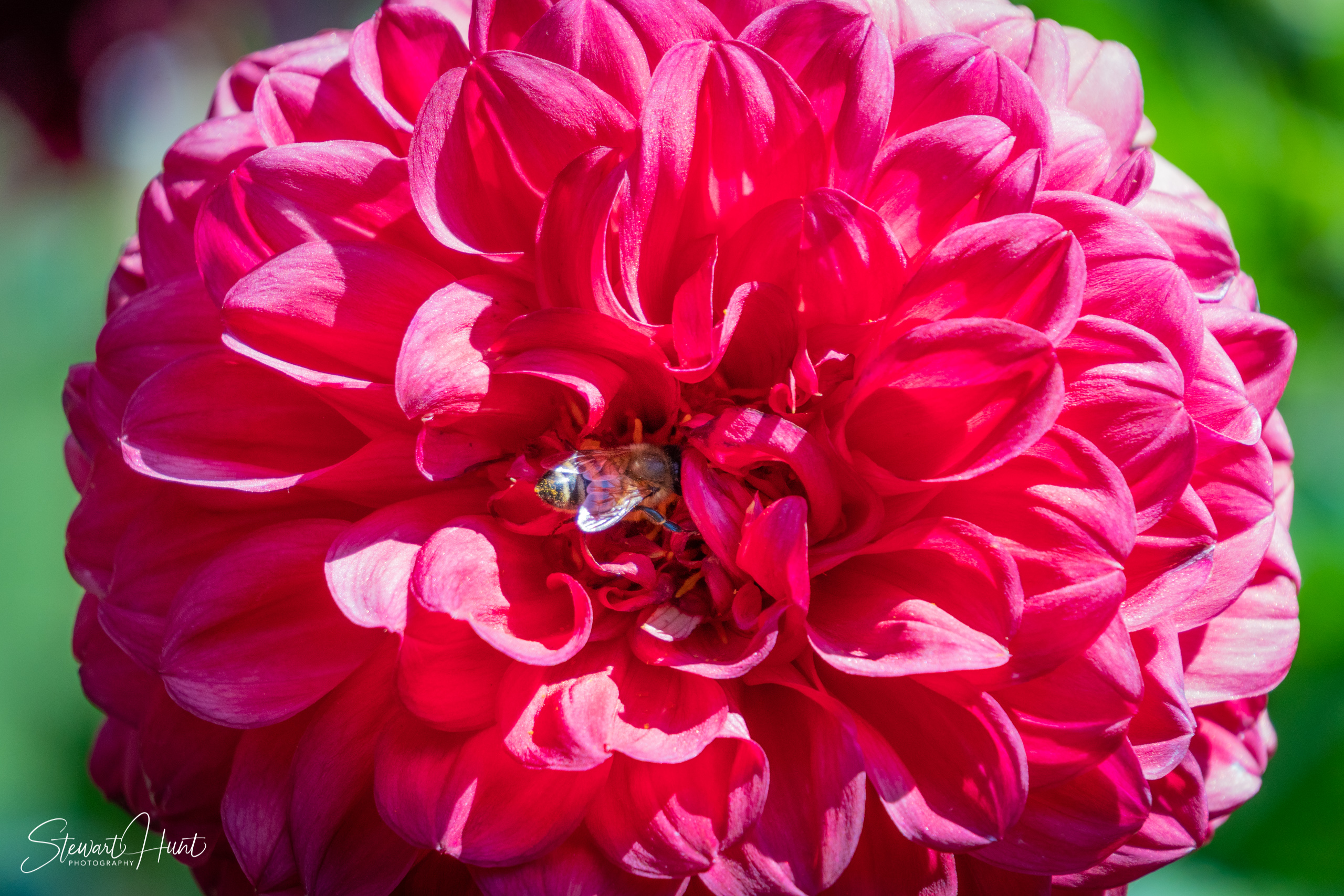 20190309 Ballarat 5768