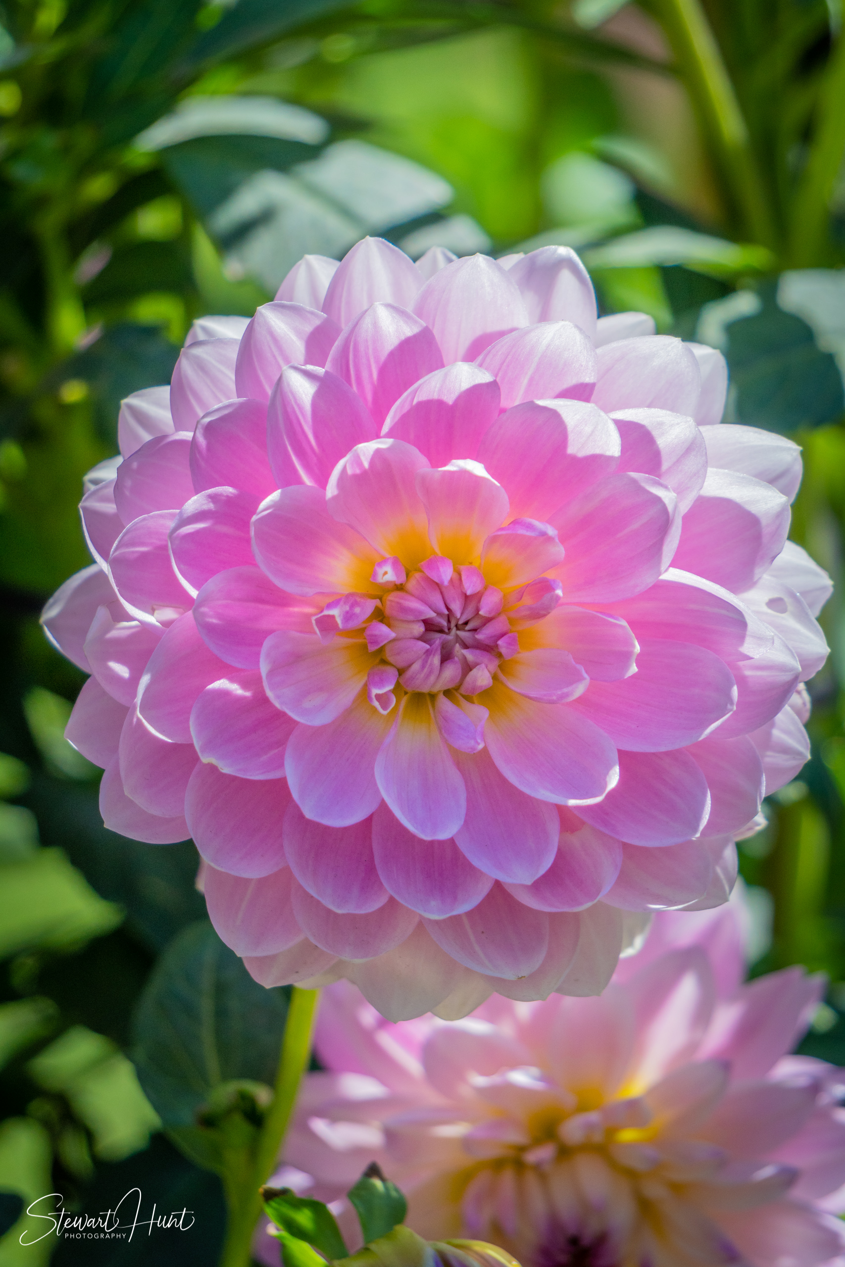 20190309 Ballarat 5774