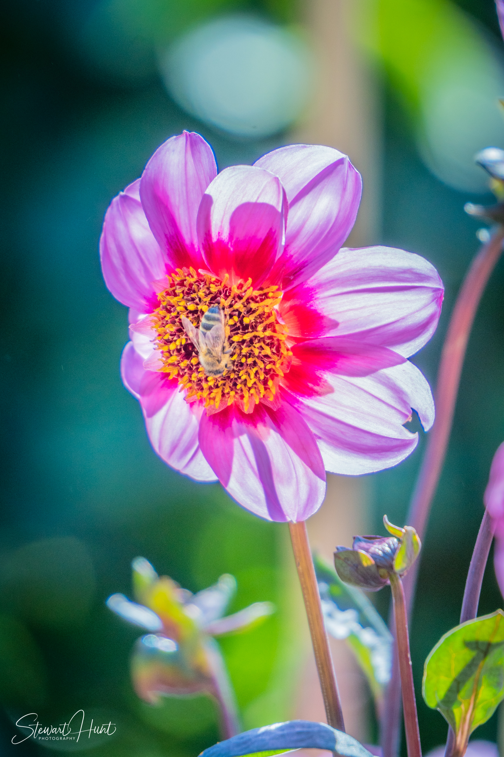 20190309 Ballarat 5779