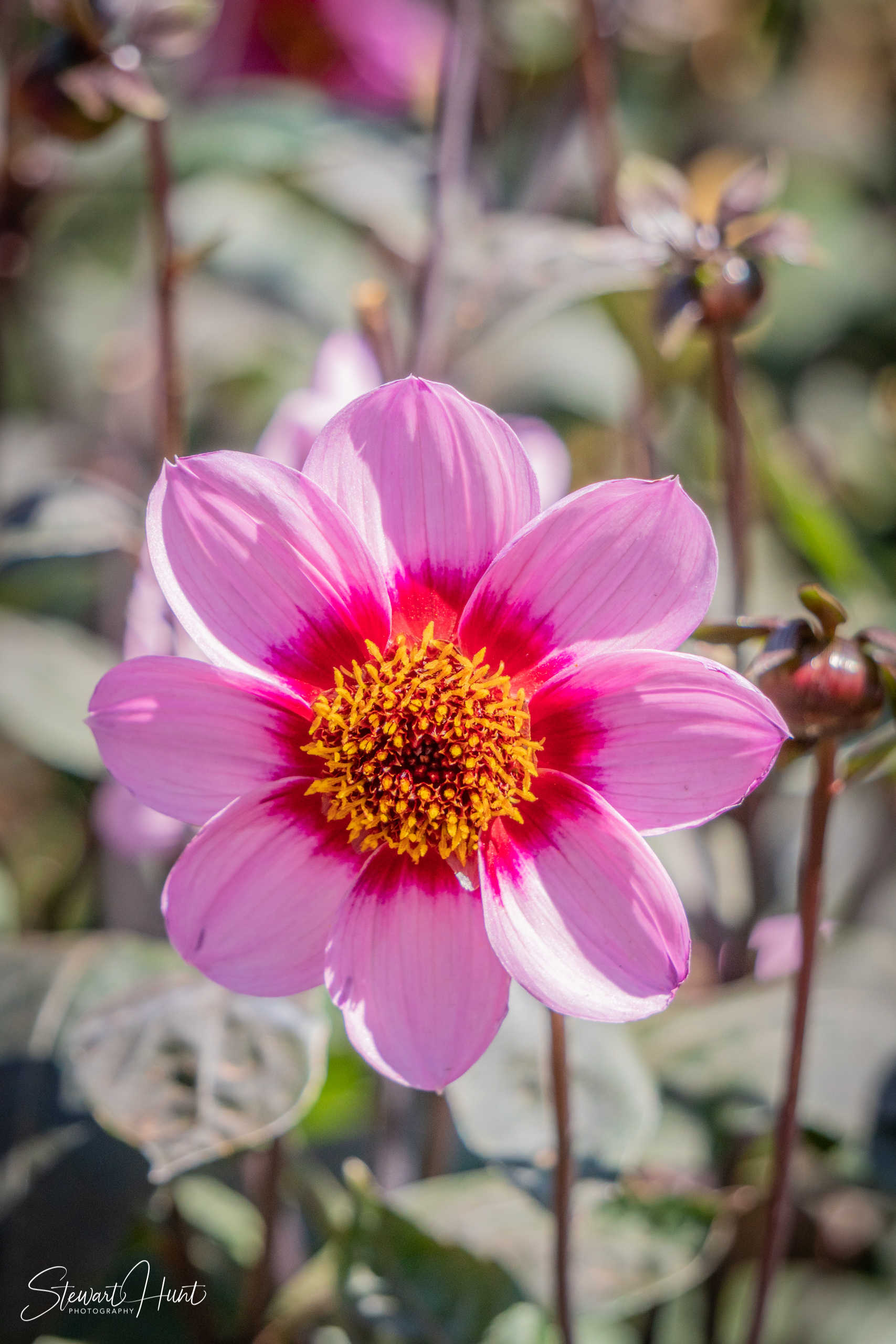 20190309 Ballarat 5786