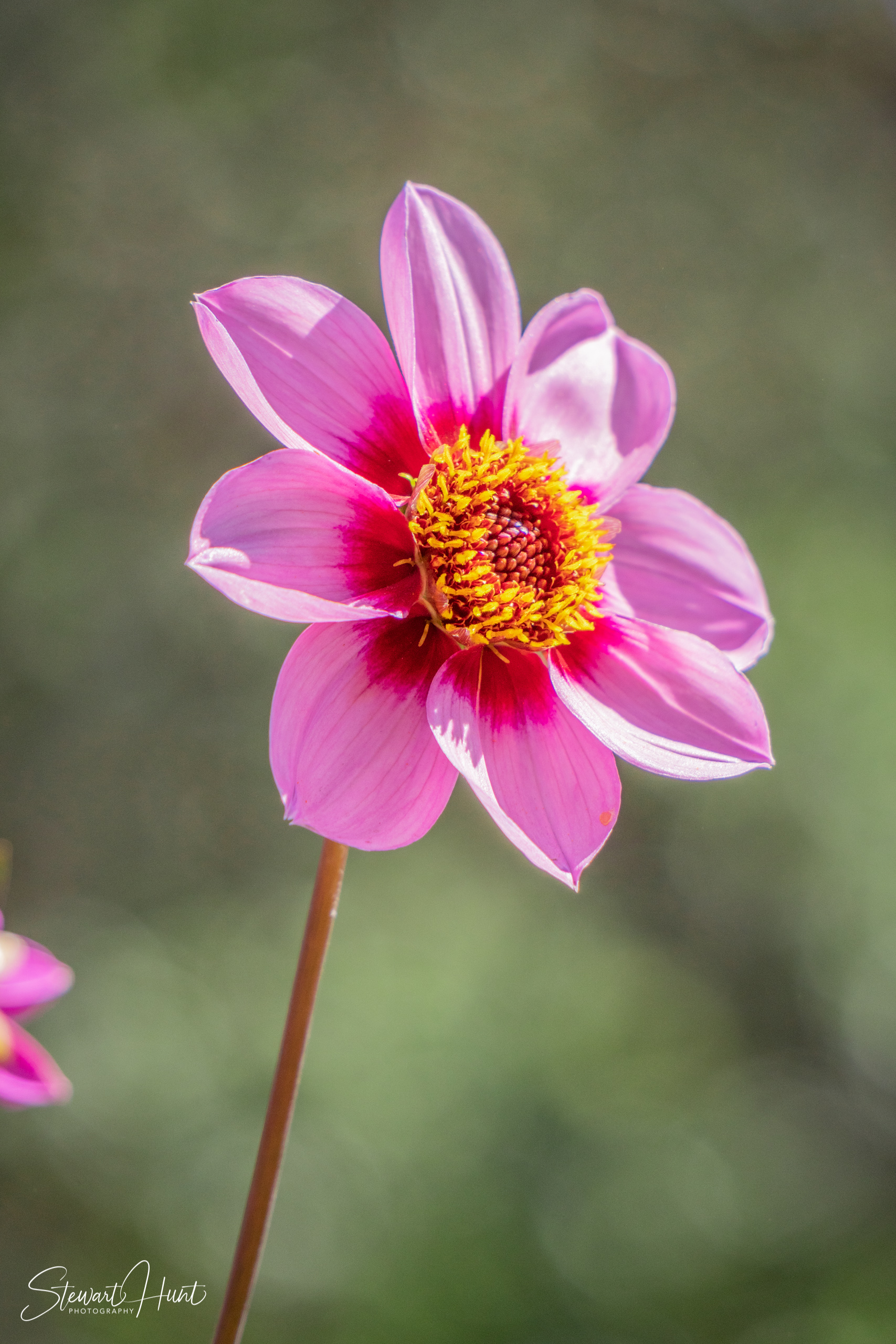 20190309 Ballarat 5792