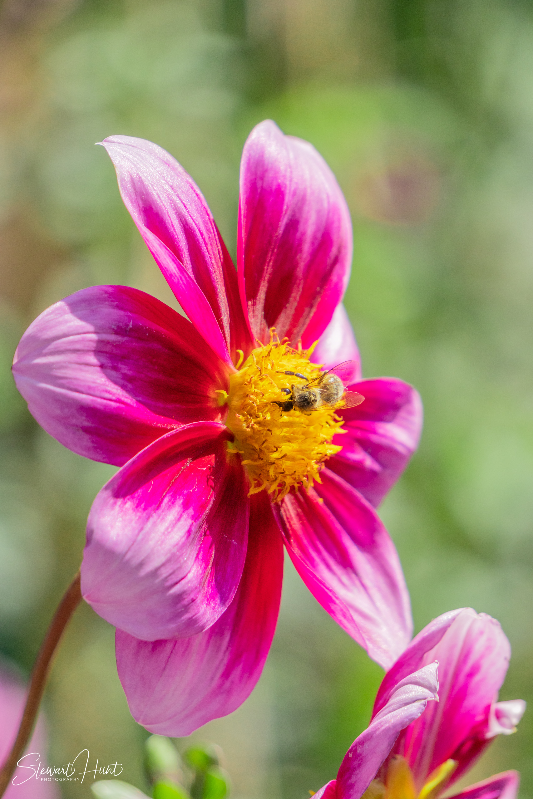 20190309 Ballarat 5797