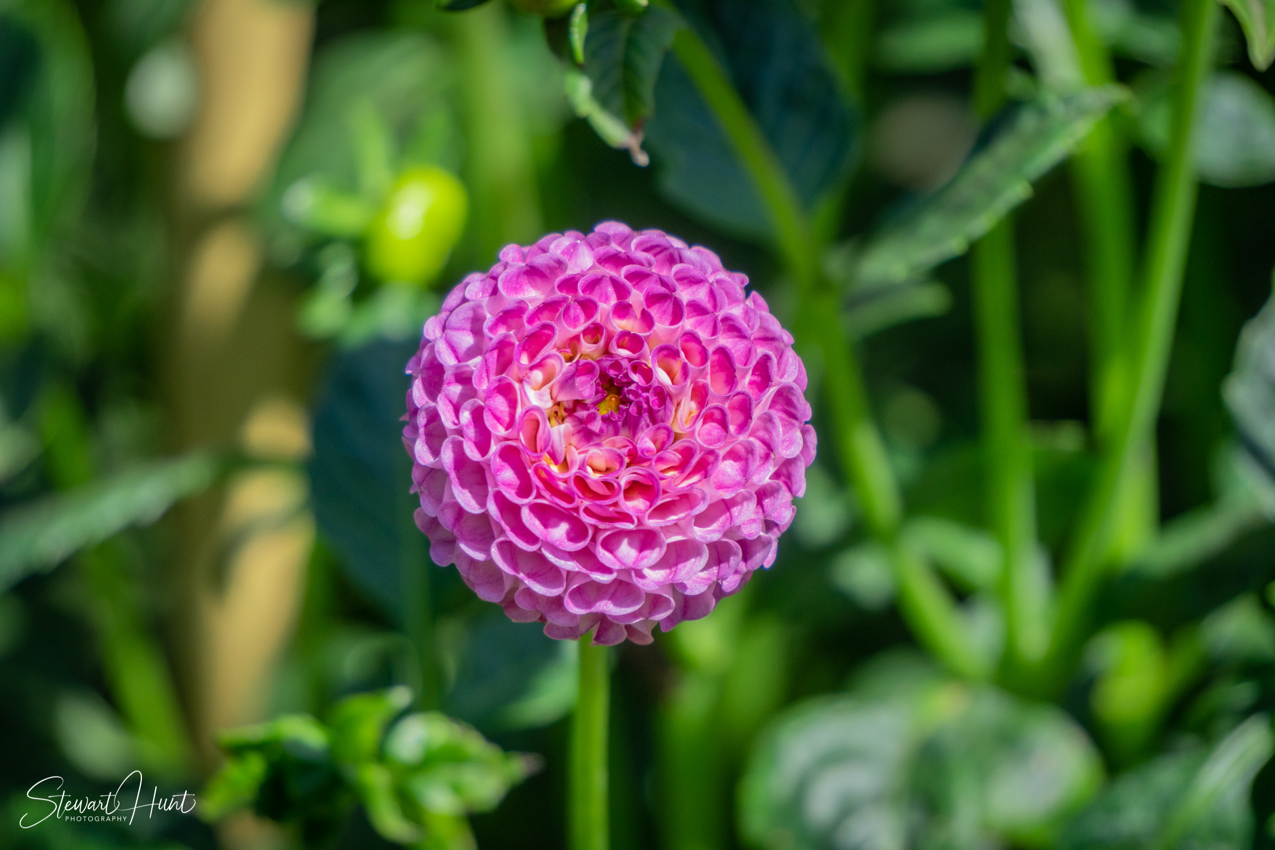 20190309 Ballarat 5802