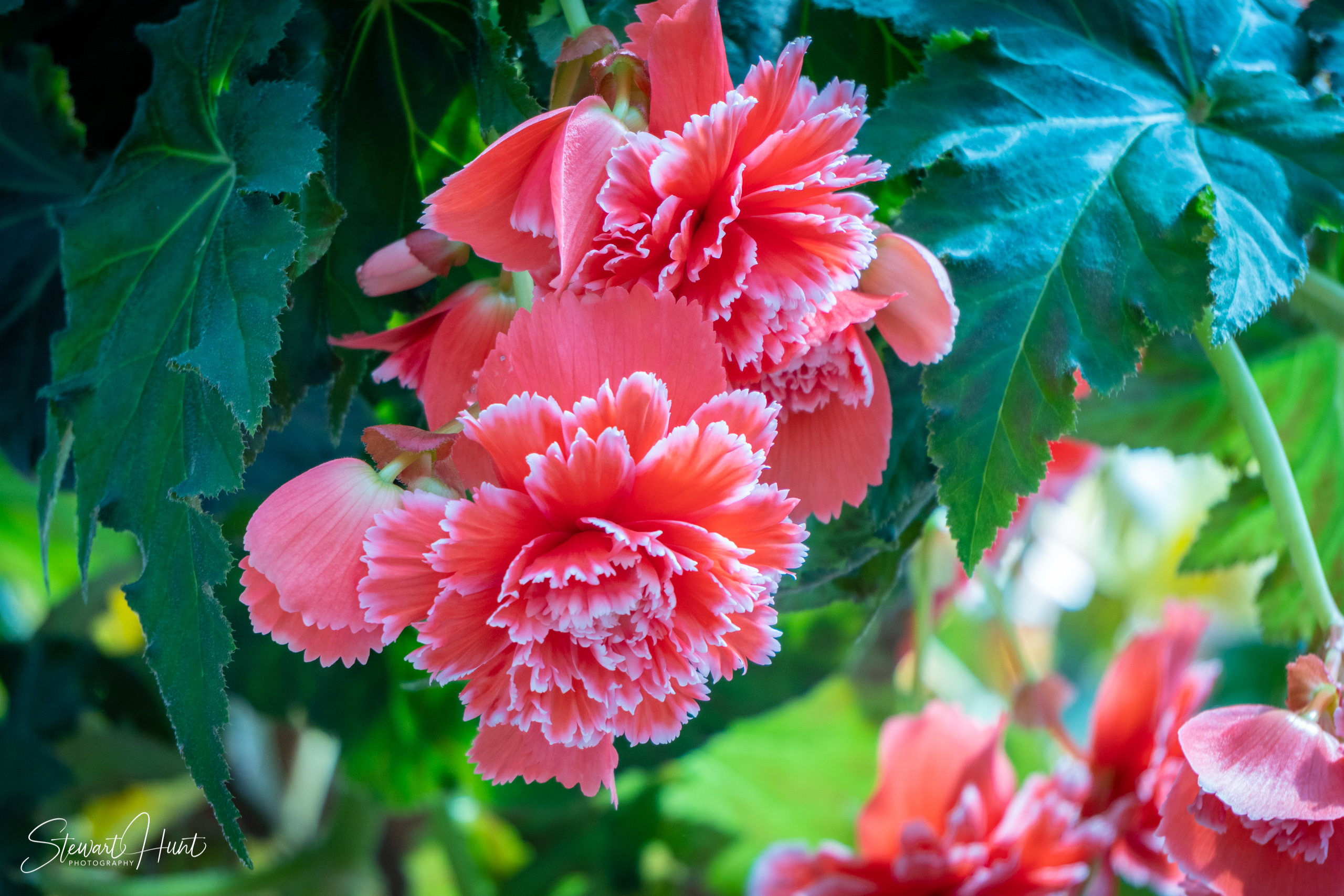 20190309 Ballarat 5842