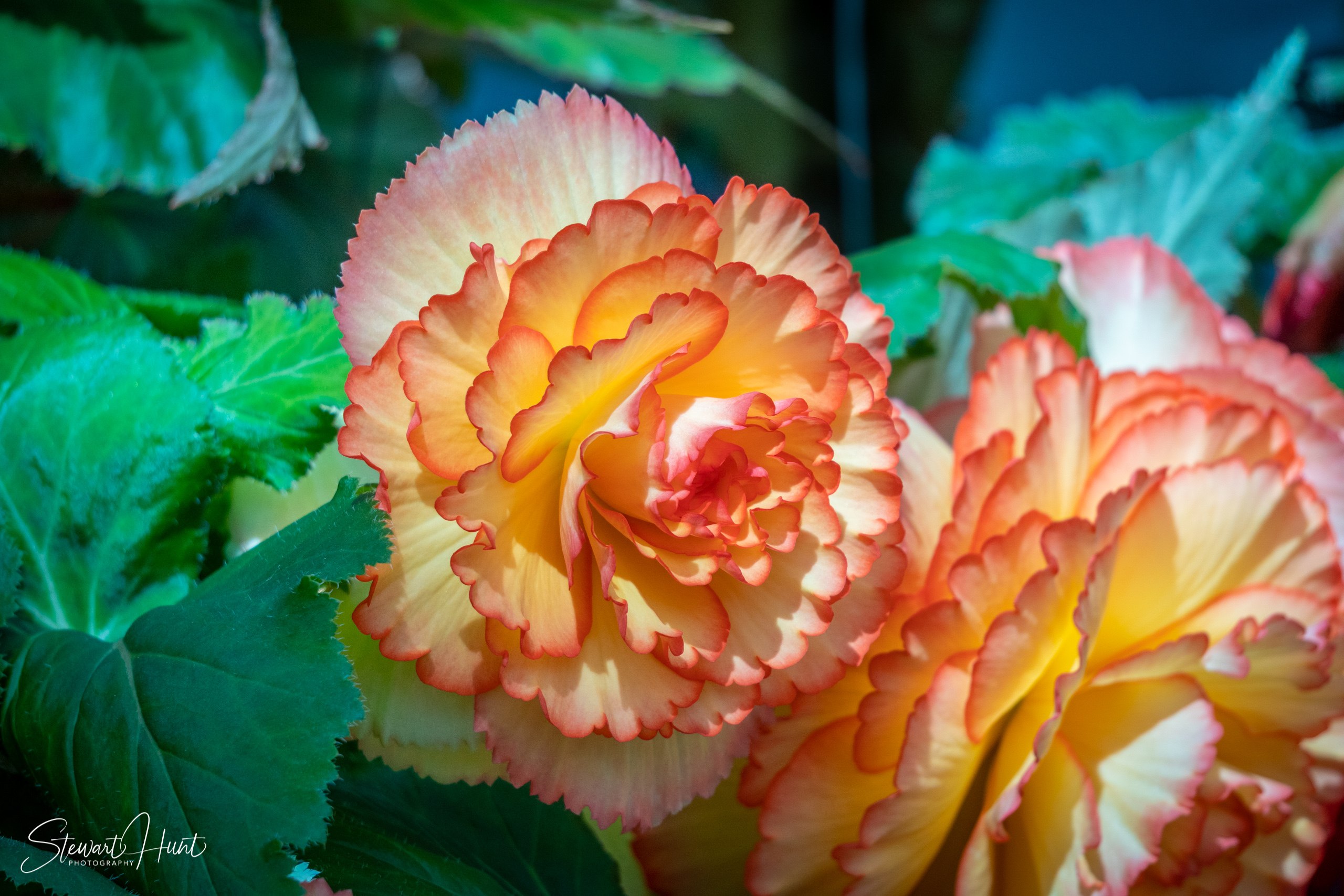 20190309 Ballarat 5849