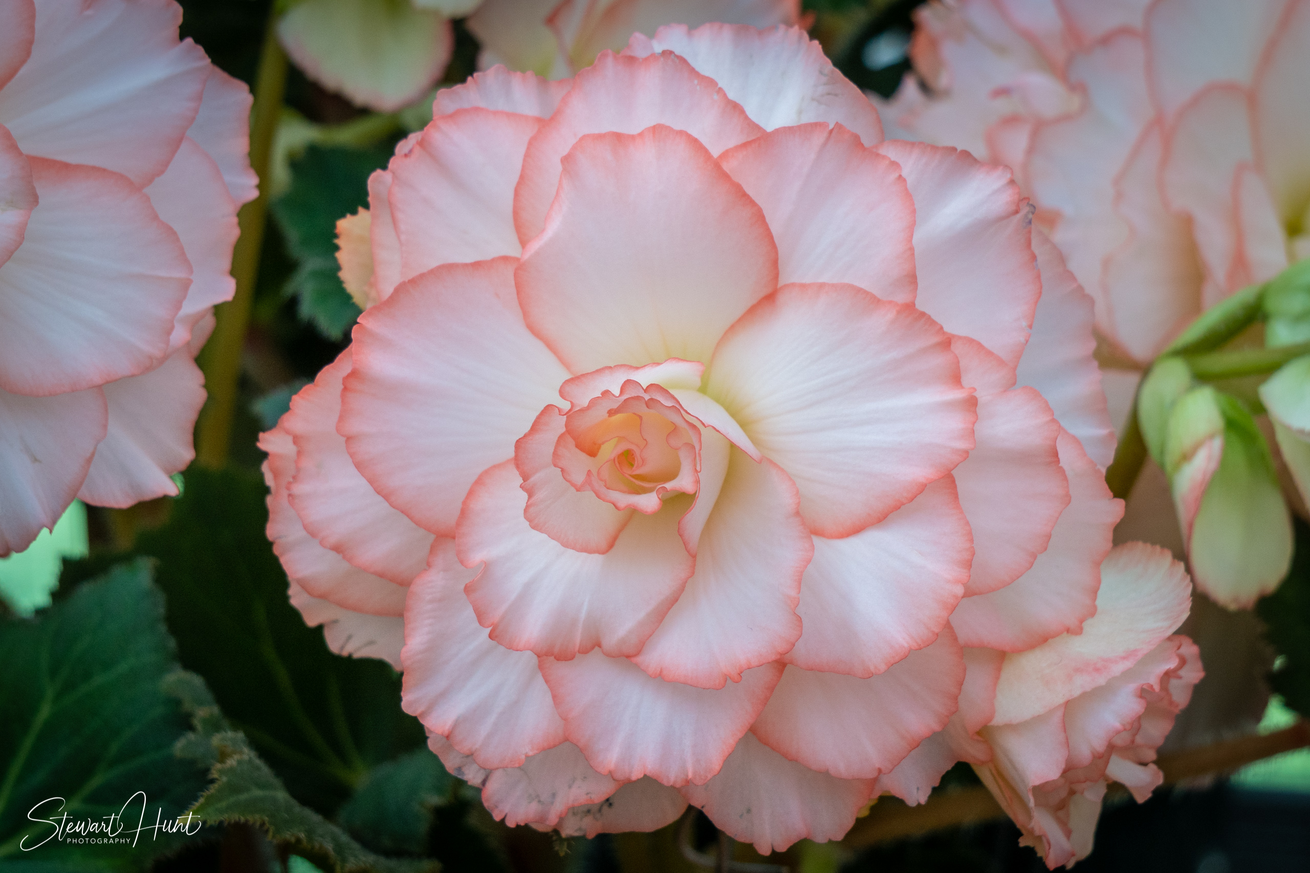 20190309 Ballarat 5850