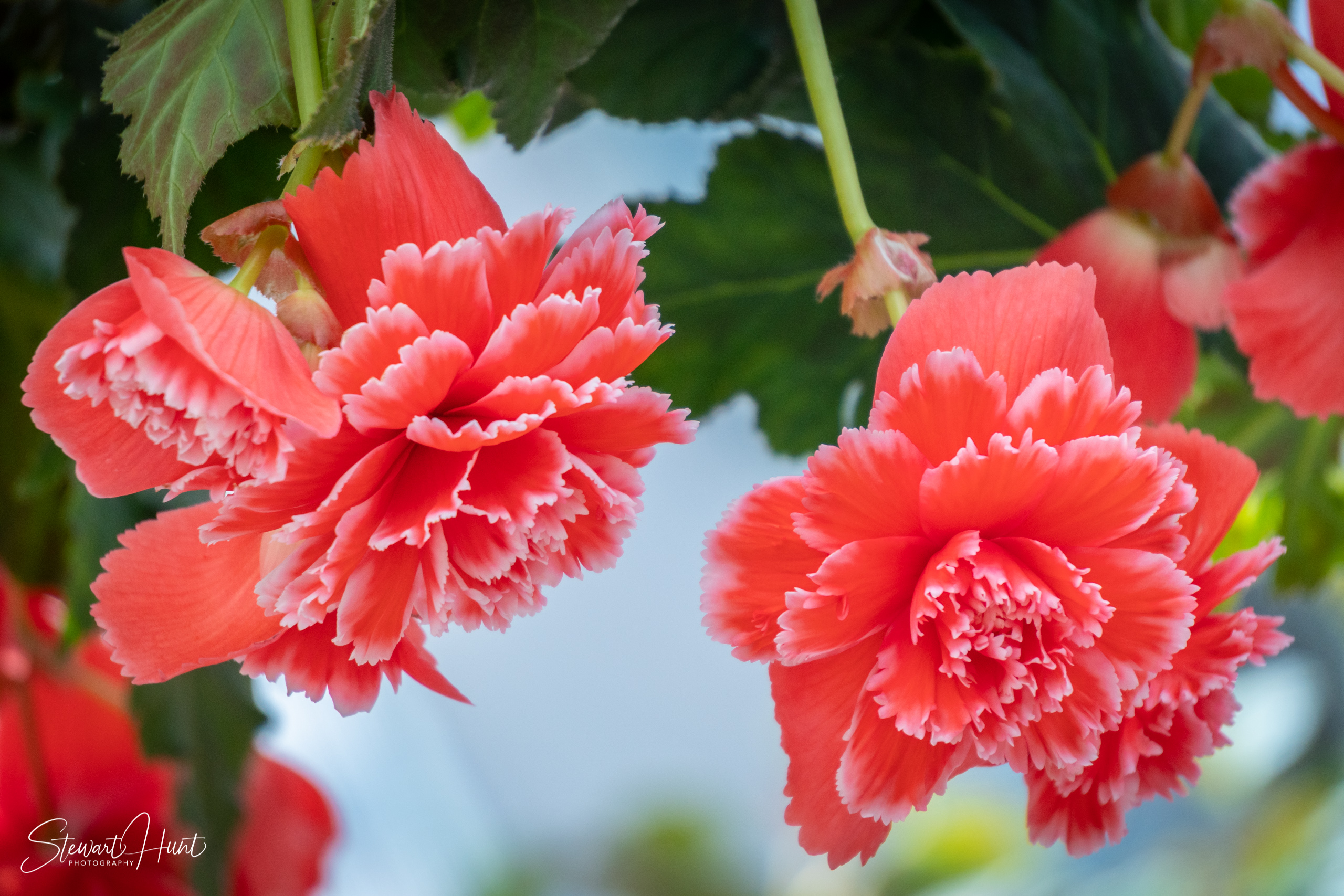 20190309 Ballarat 5867