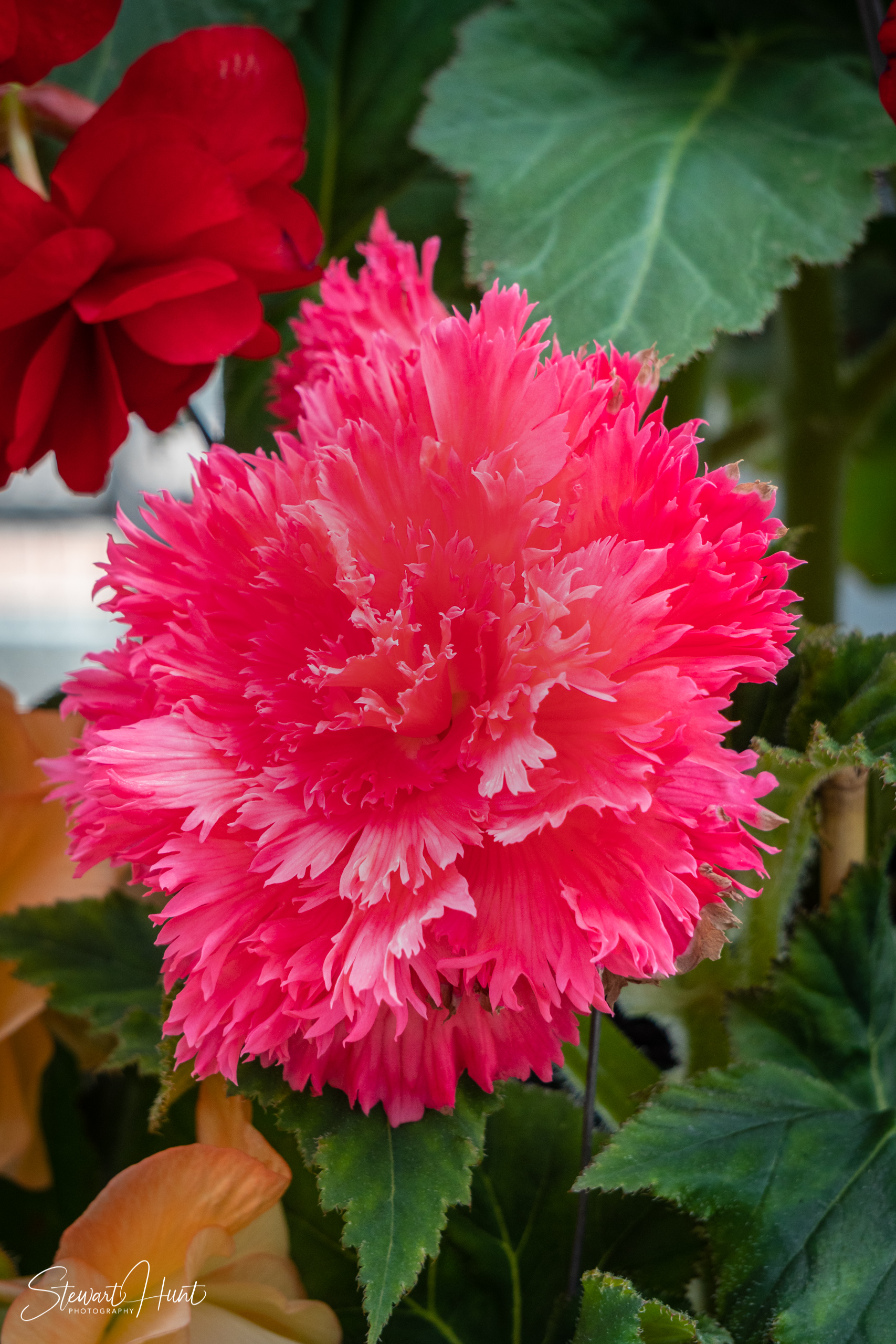 20190309 Ballarat 5869