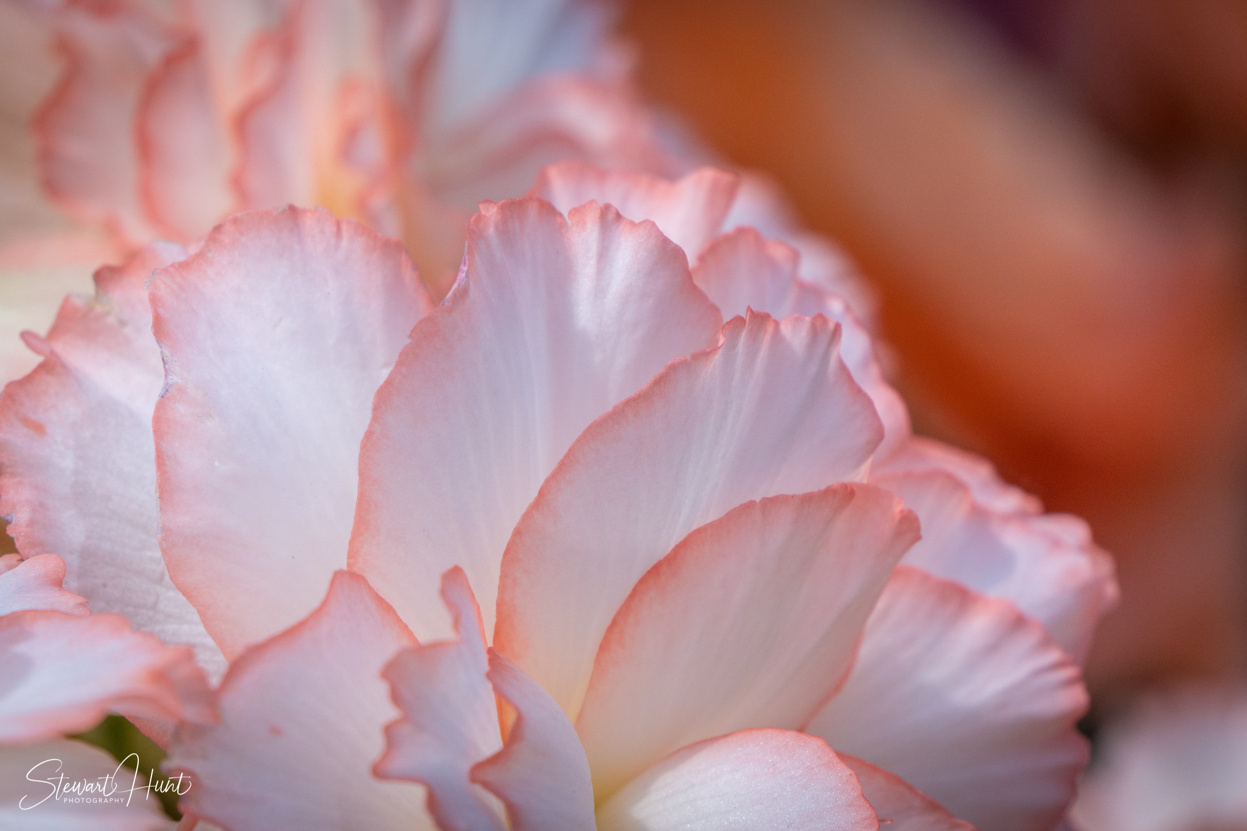 20190309 Ballarat 5876