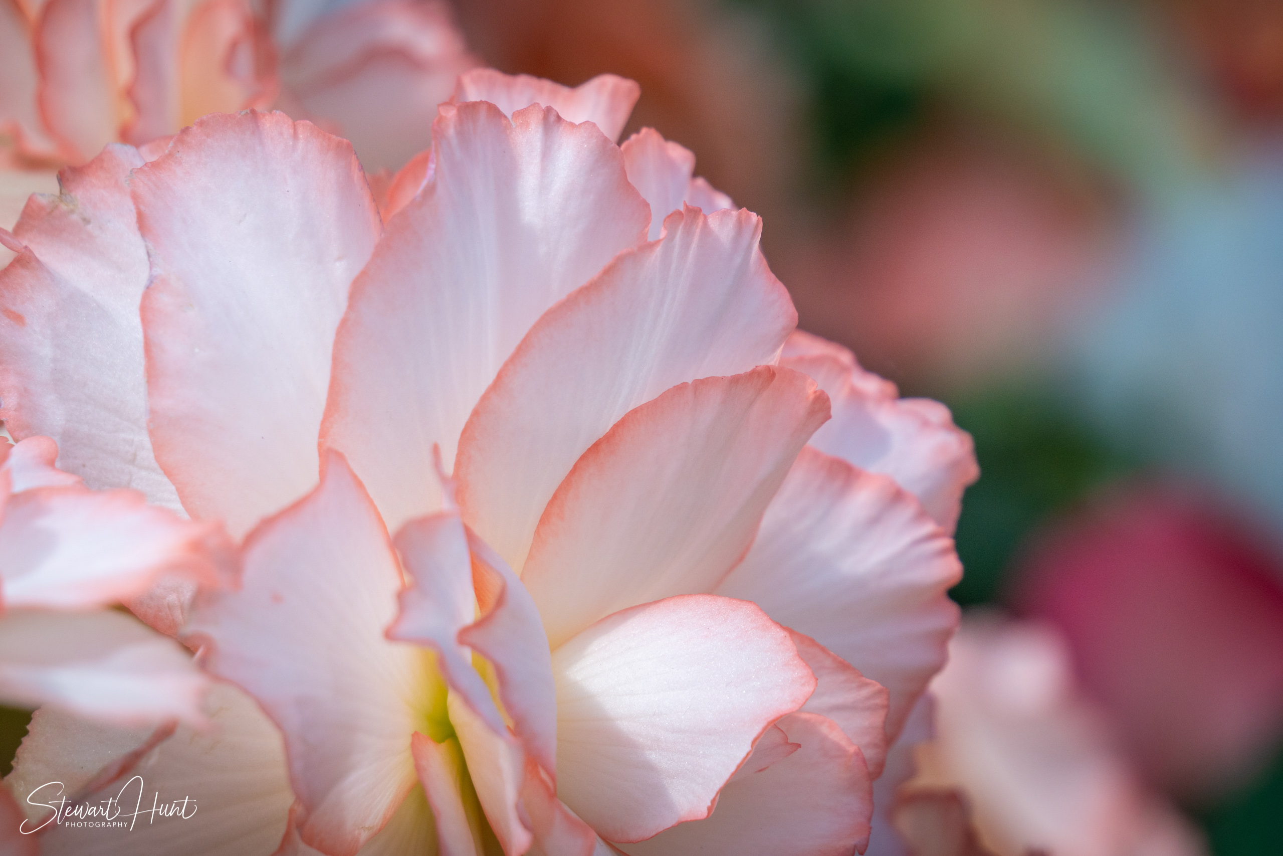 20190309 Ballarat 5877