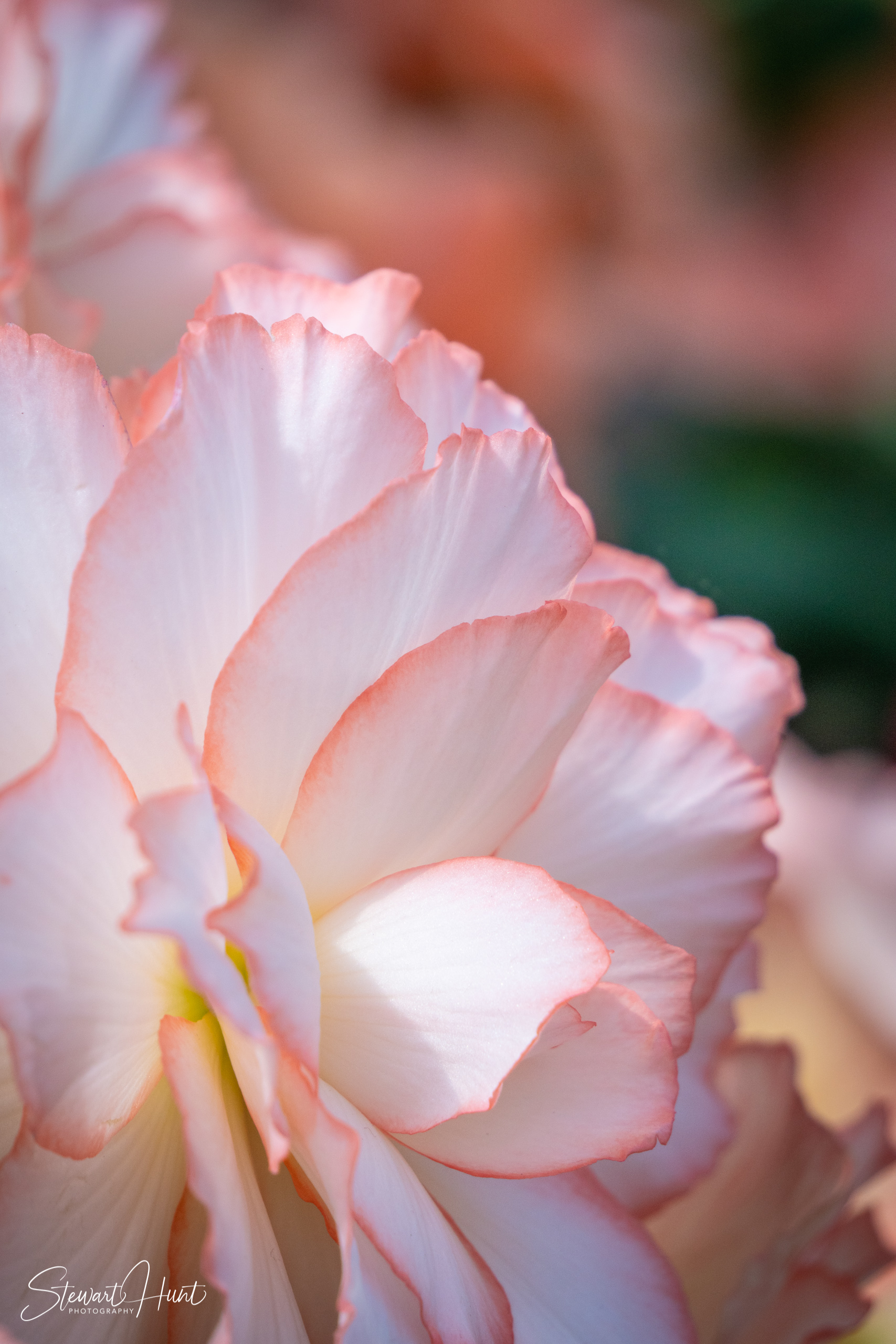 20190309 Ballarat 5880