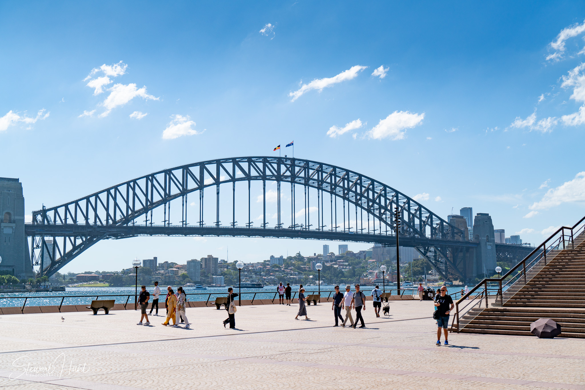 Jourdin 20240303 SMH A7RII 0308