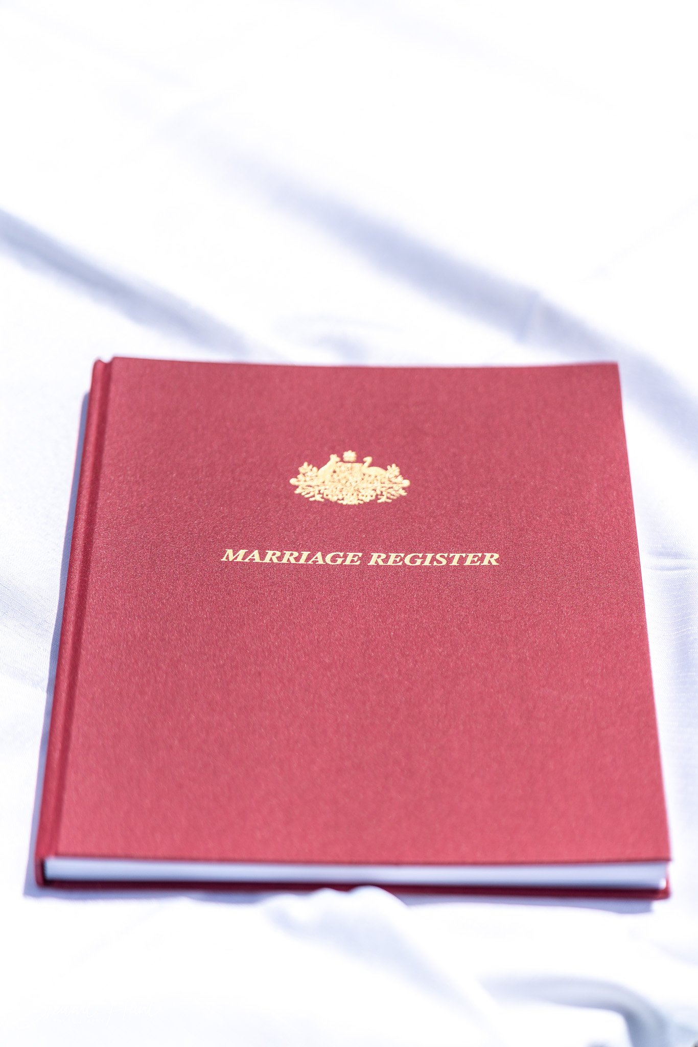 Jourdin 20240303 SMH A7RIII 01520