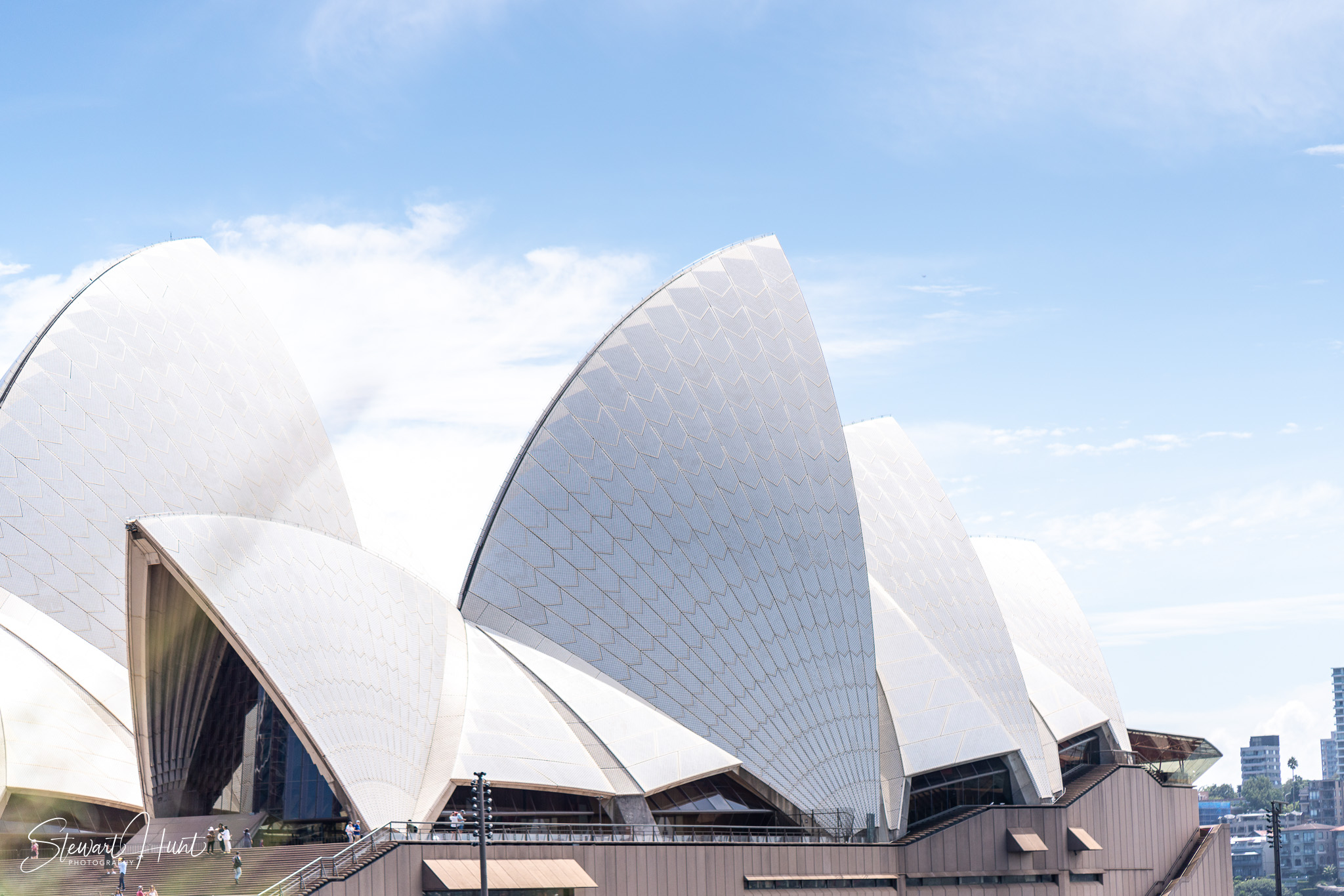 Jourdin 20240303 SMH A7RIII 01522