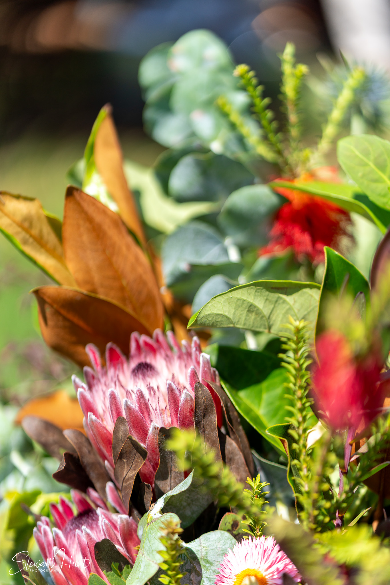 Jourdin 20240303 SMH A7RIII 01657