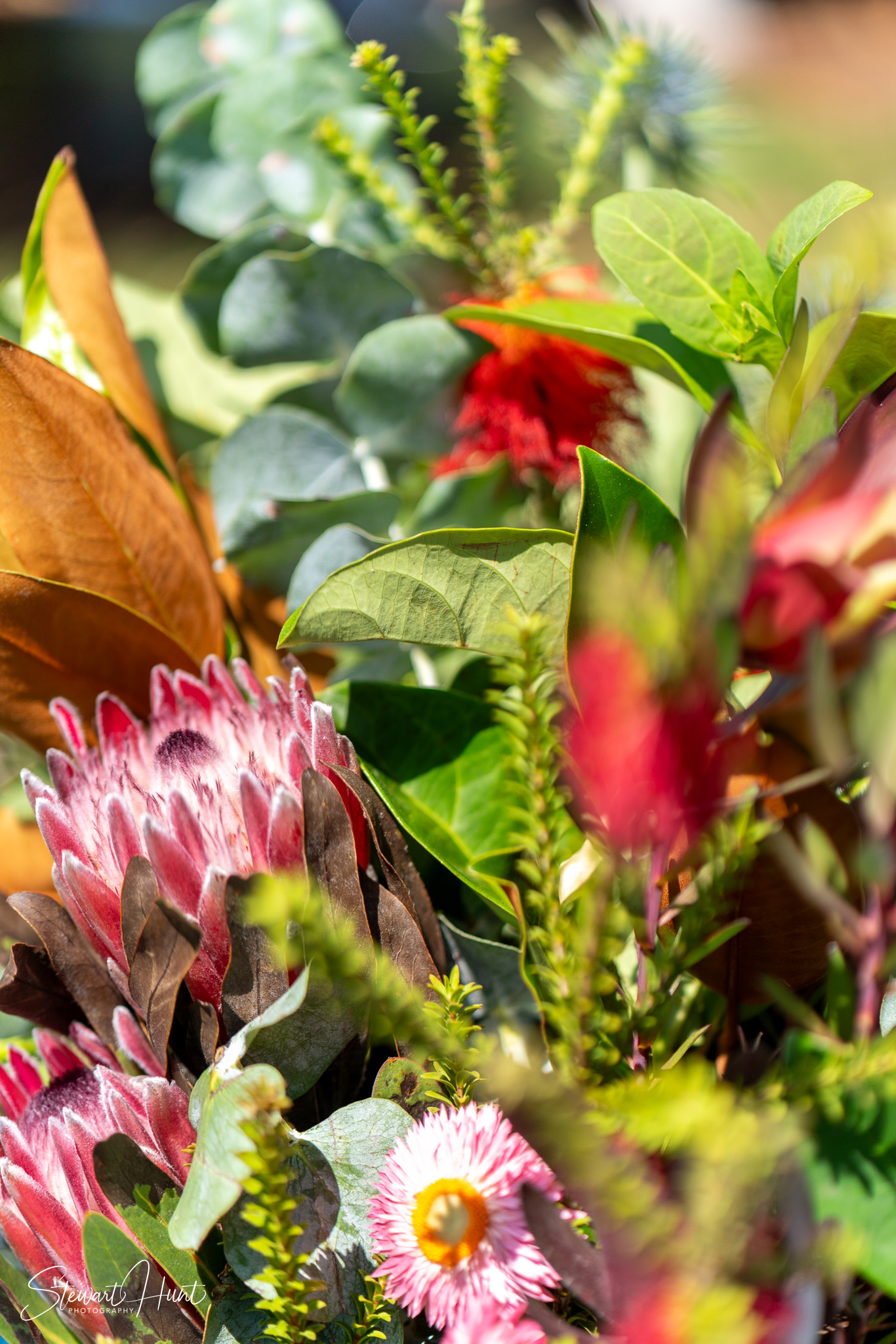 Jourdin 20240303 SMH A7RIII 01658