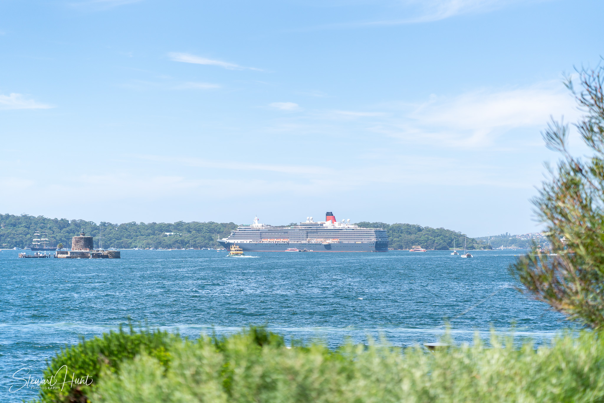 Jourdin 20240303 SMH A7RIII 01661