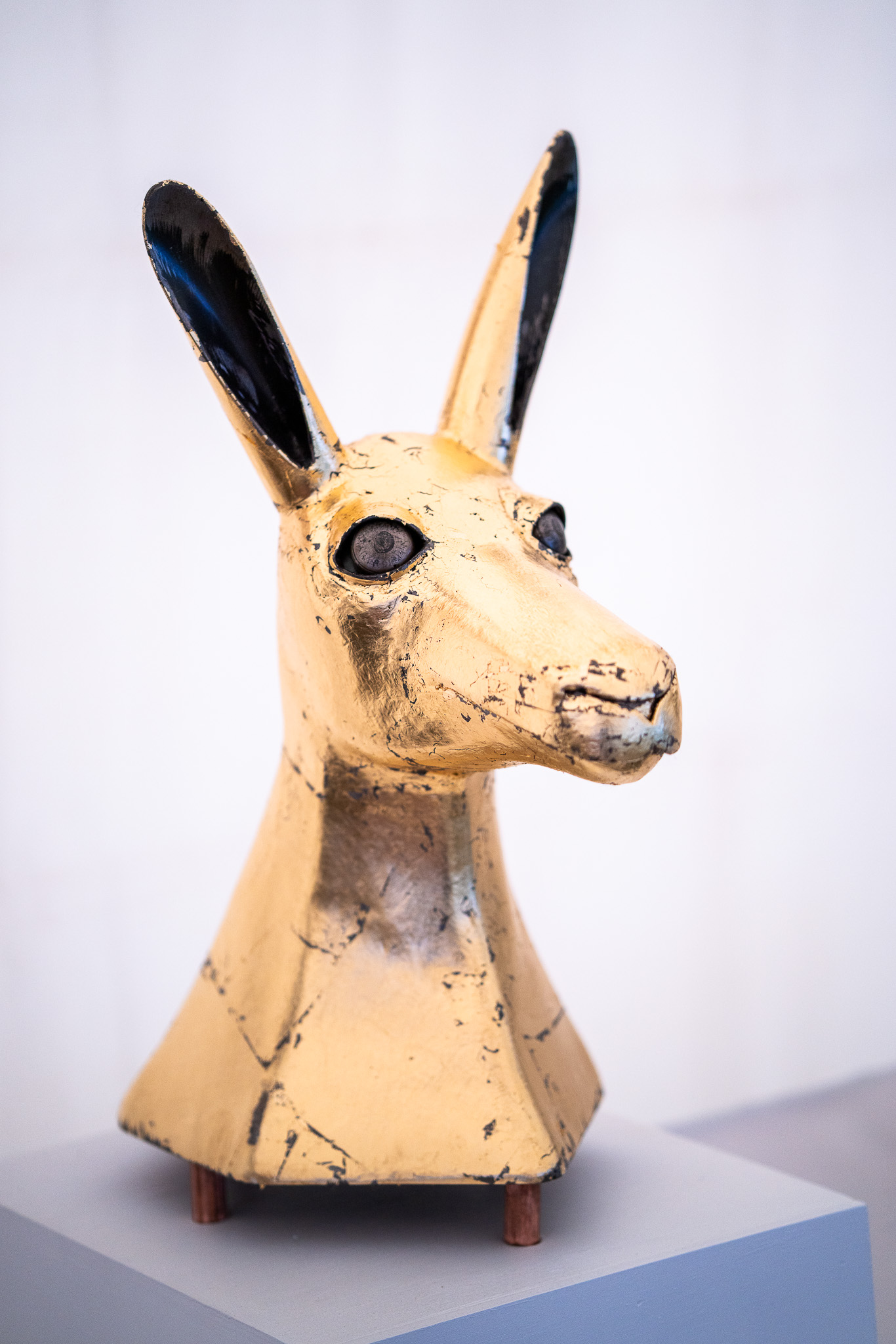 20251206 Festival of Ando and Lis A7Riii 02243