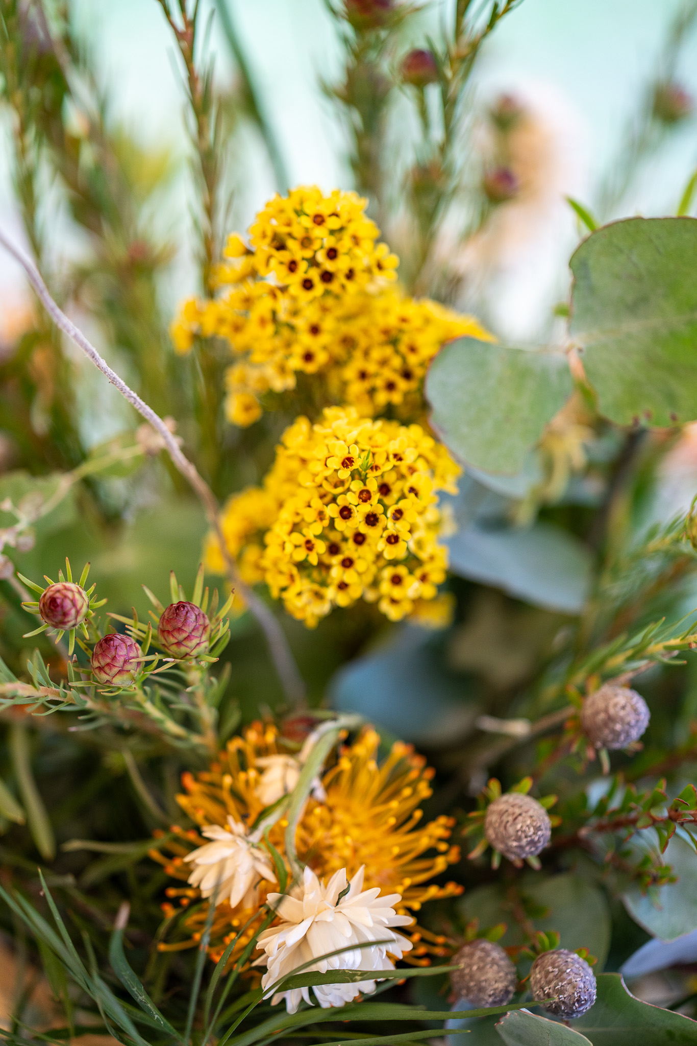 20251206 Festival of Ando and Lis A7Riii 02244