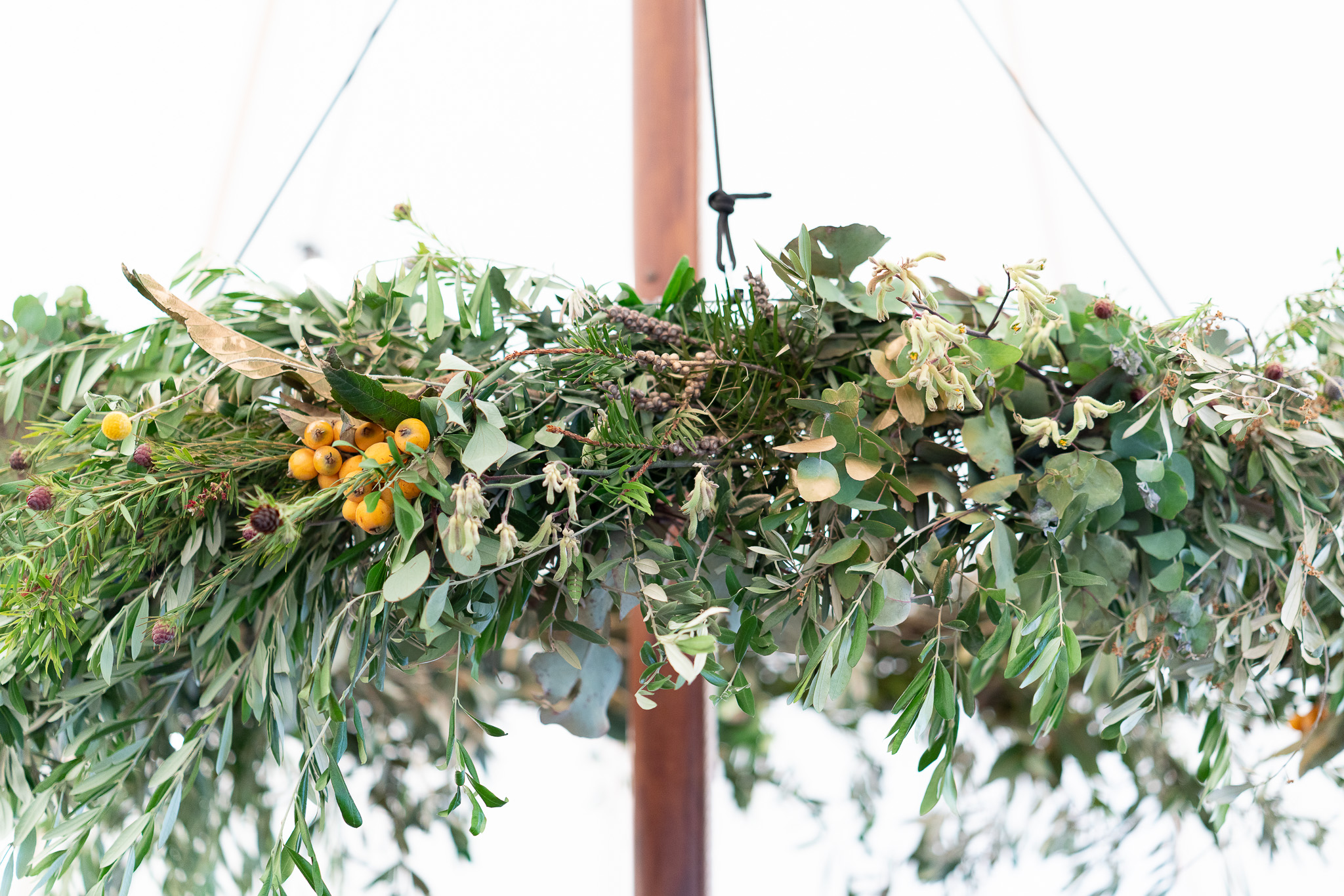 20251206 Festival of Ando and Lis A7Riii 02310