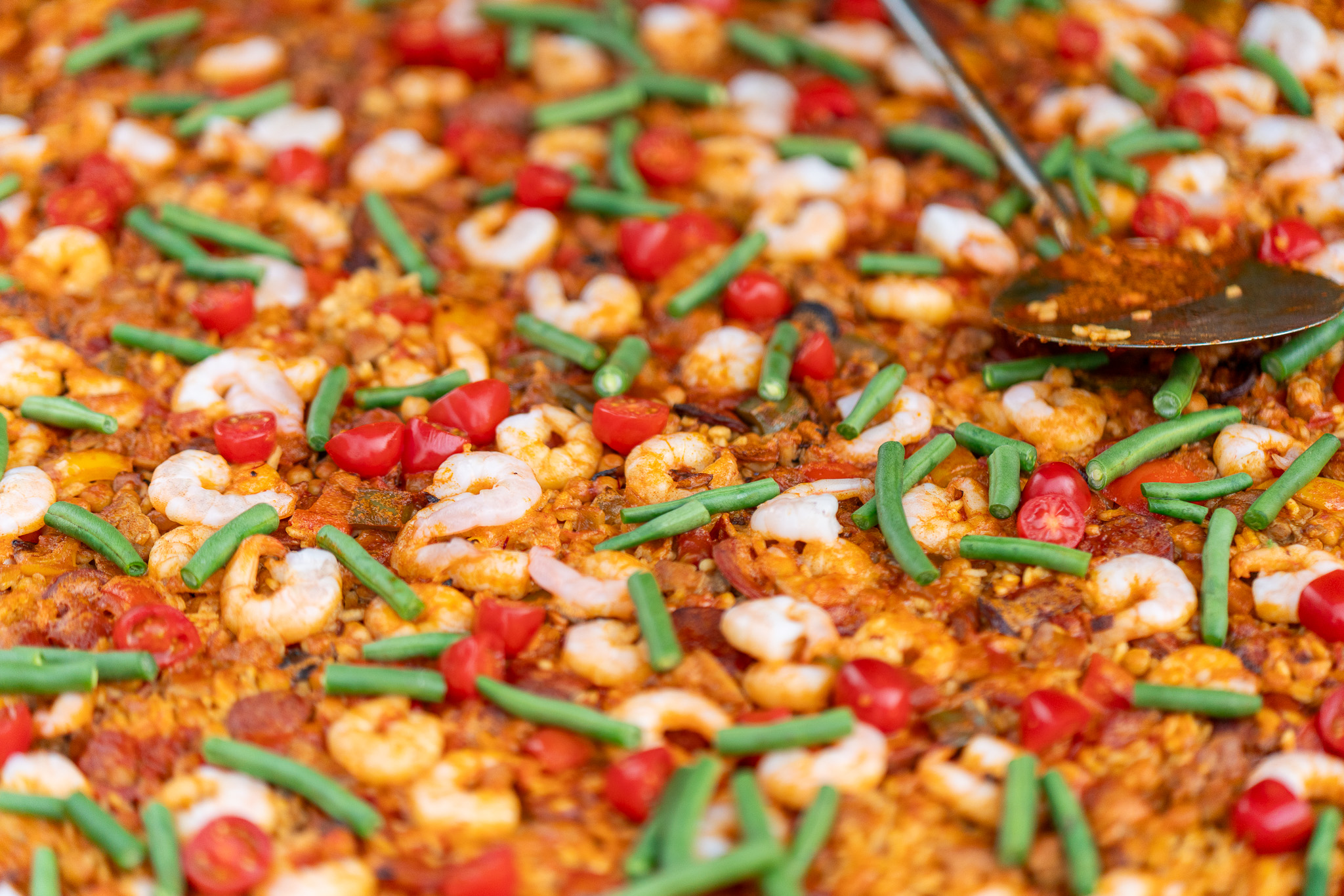 20251206 Festival of Ando and Lis A7Riii 02381