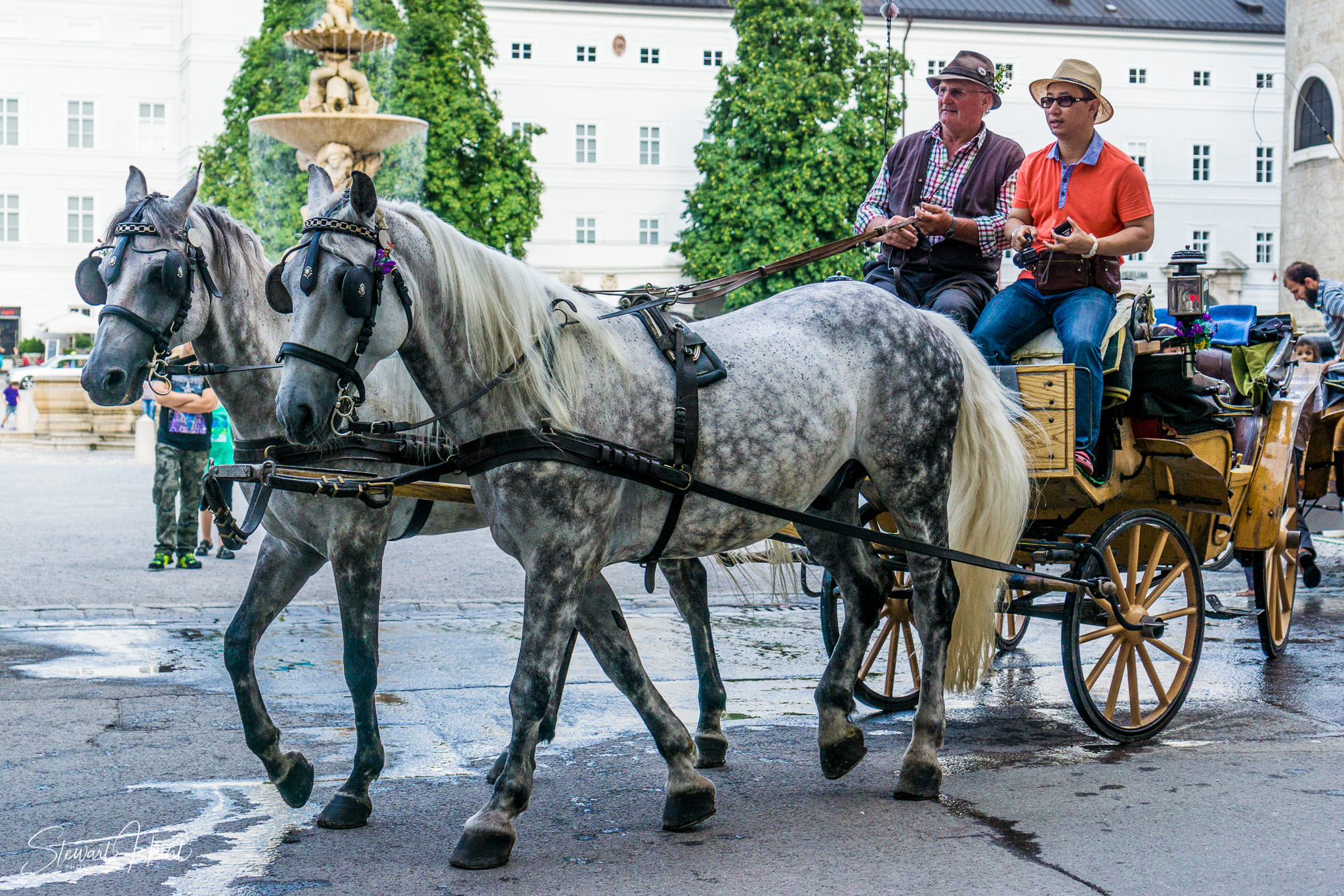 Salzburg 2201