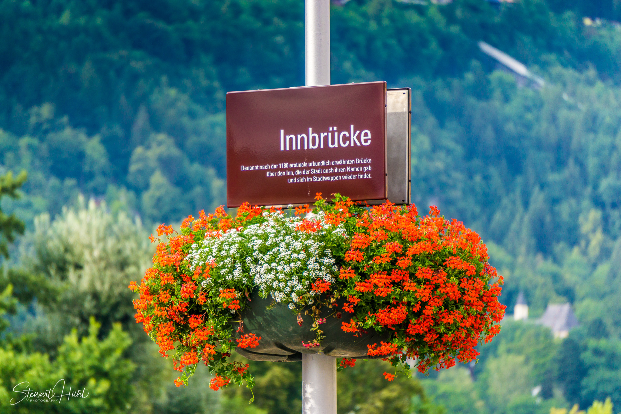 Innsbruck 1231