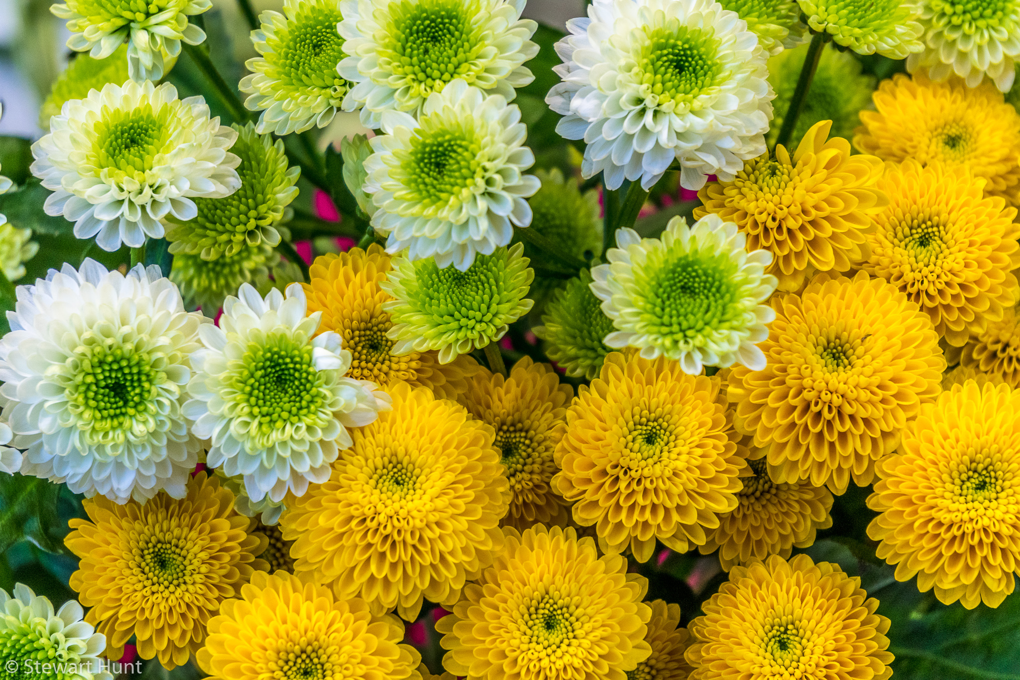 Vienna 2017 A6500 1967