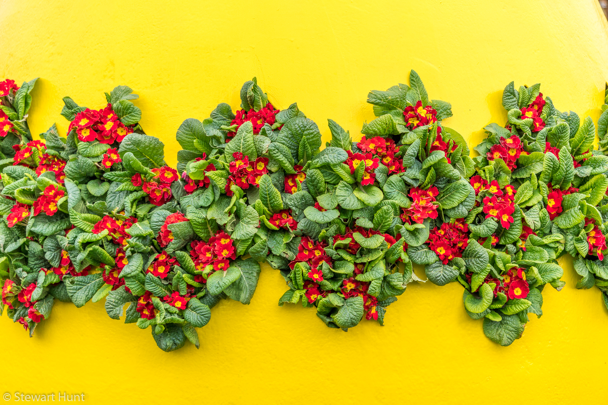 Vienna 2017 A6500 1984