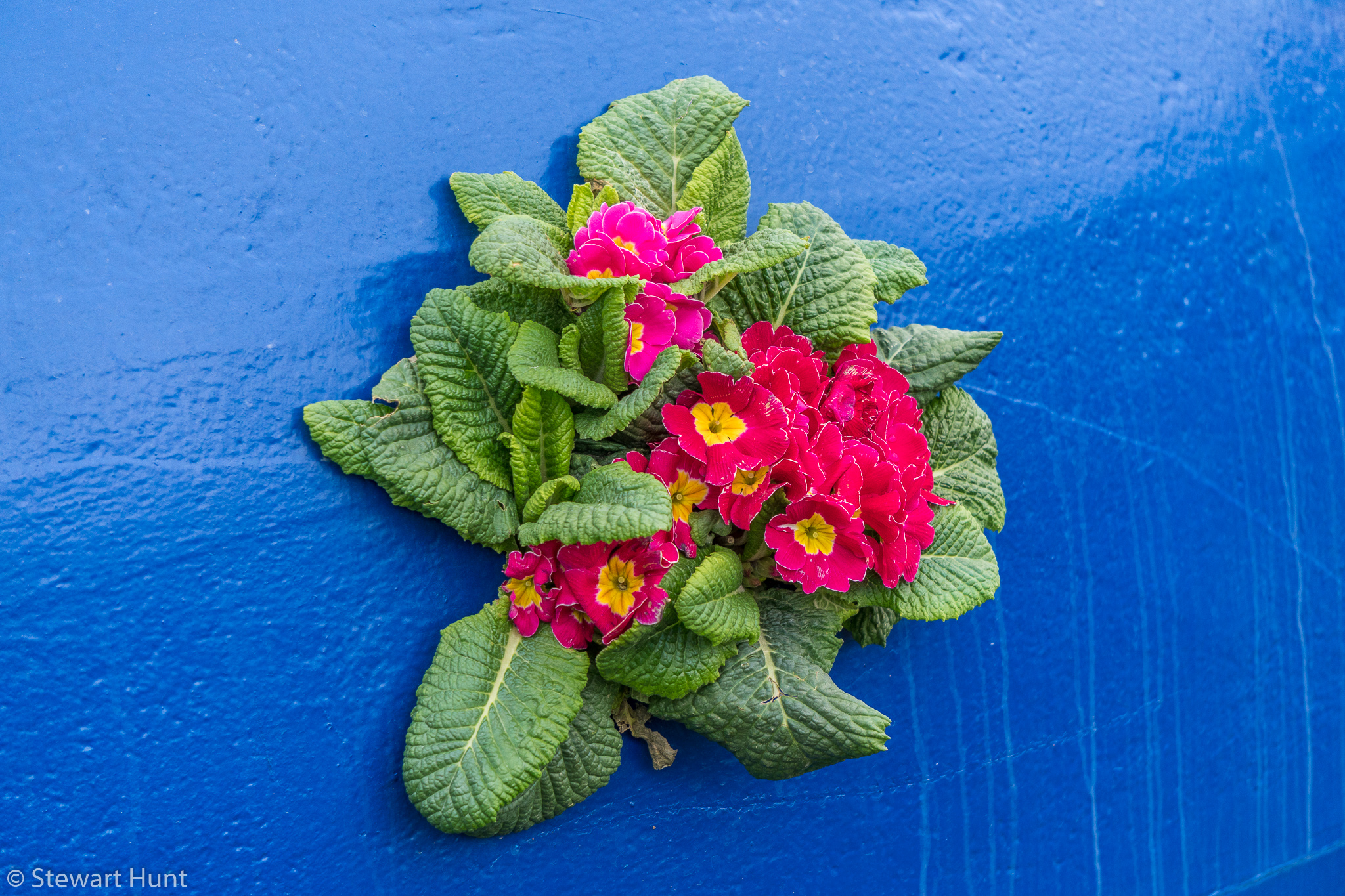 Vienna 2017 A6500 1987