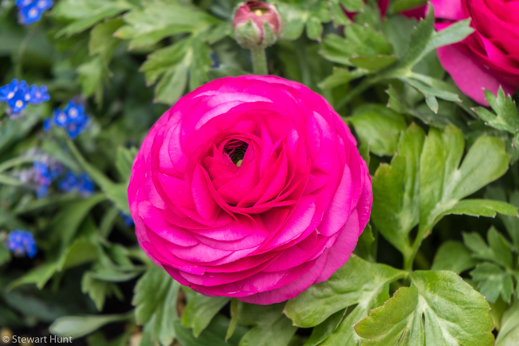 Vienna 2017 A6500 2006