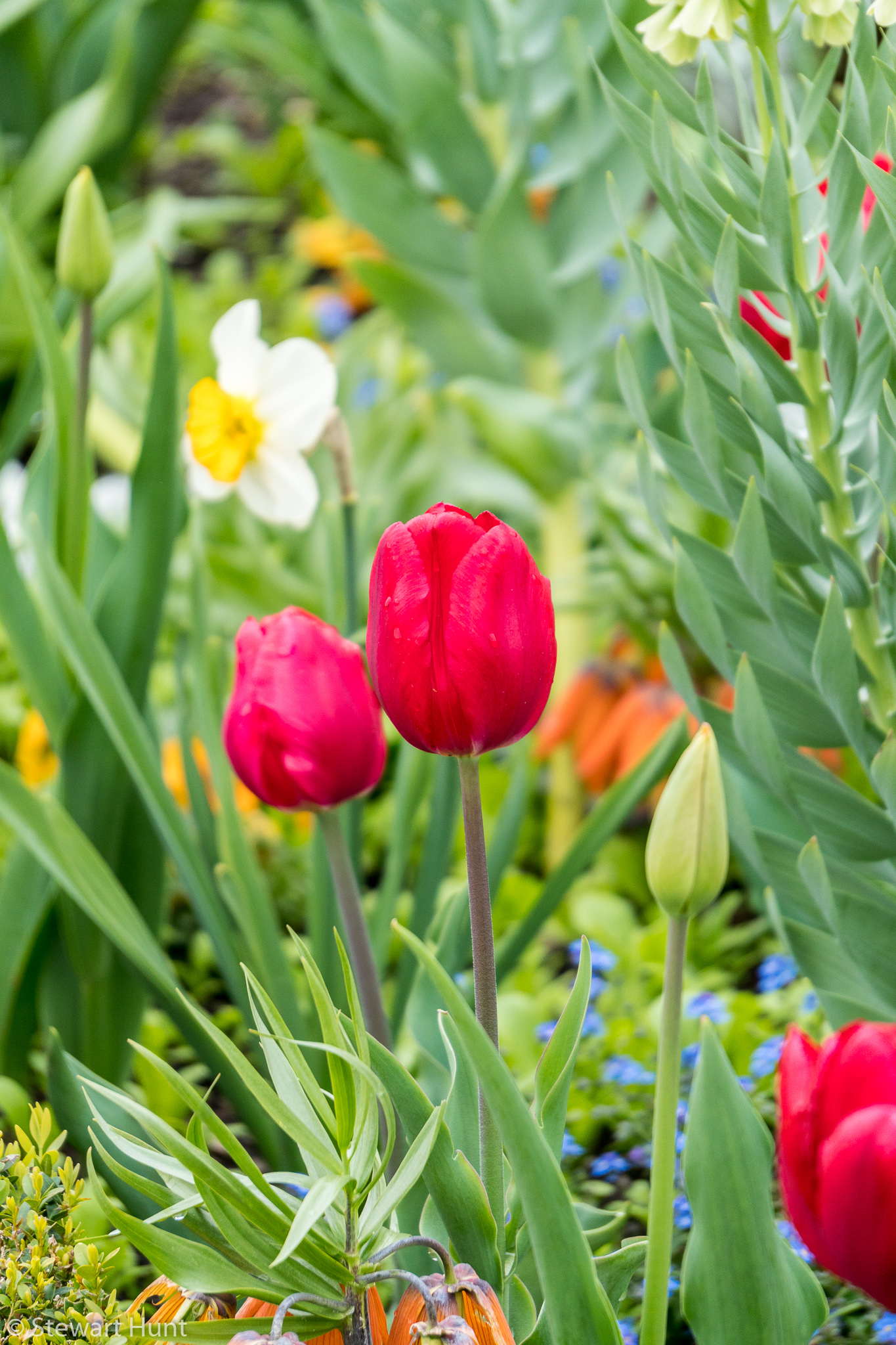 Vienna 2017 A6500 2016