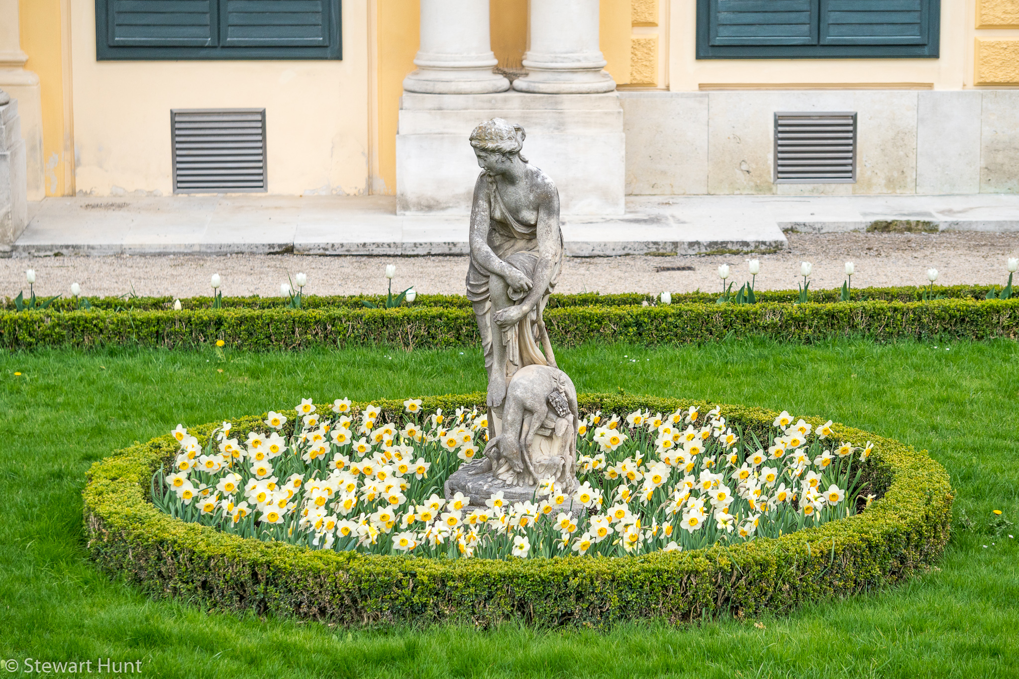 Vienna 2017 A6500 2076