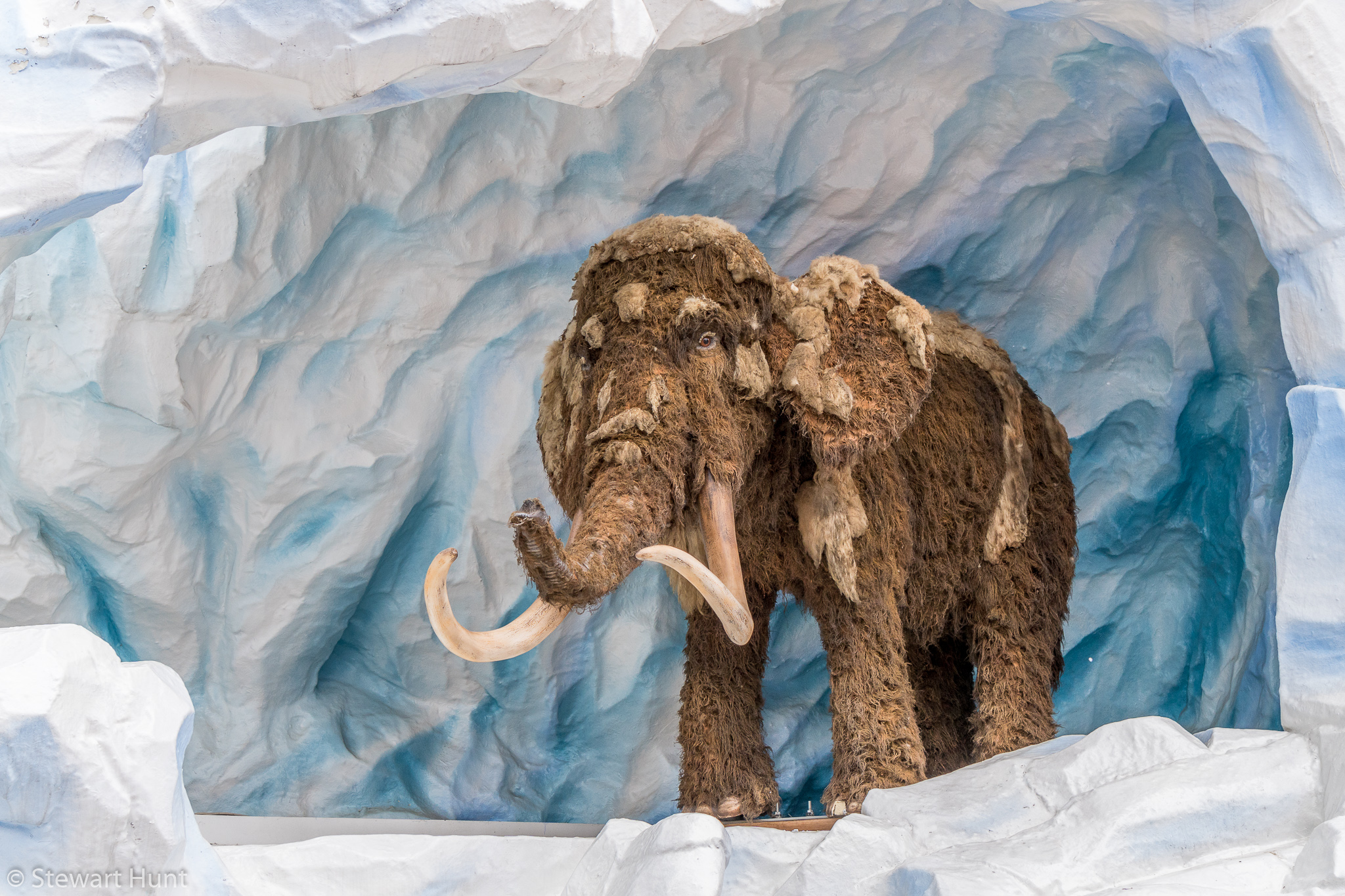 Vienna 2017 A6500 2368