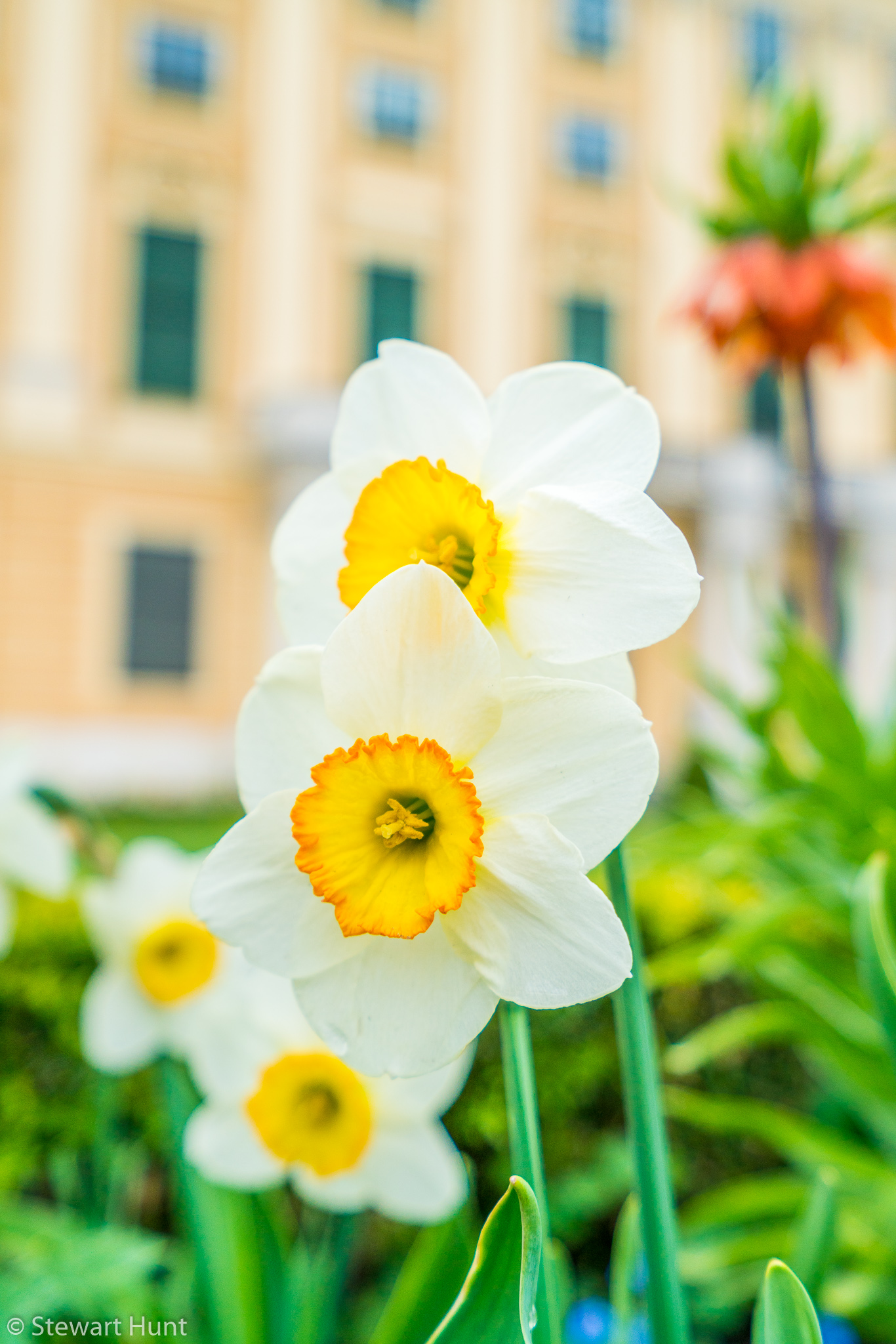 Vienna 2017 A7RII 7822