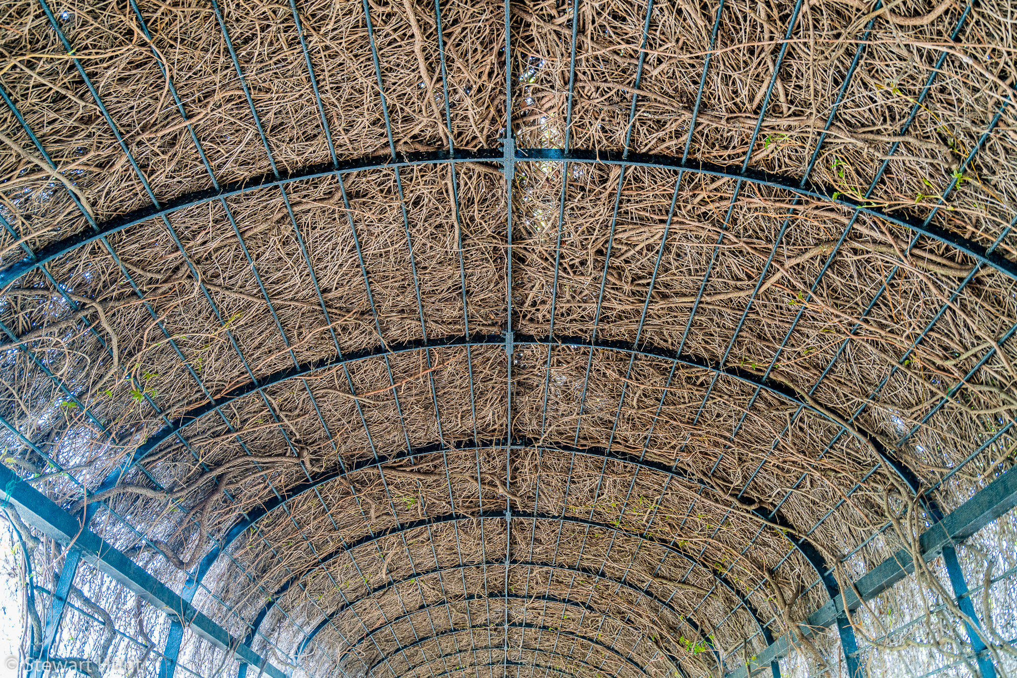 Vienna 2017 A7RII 7829