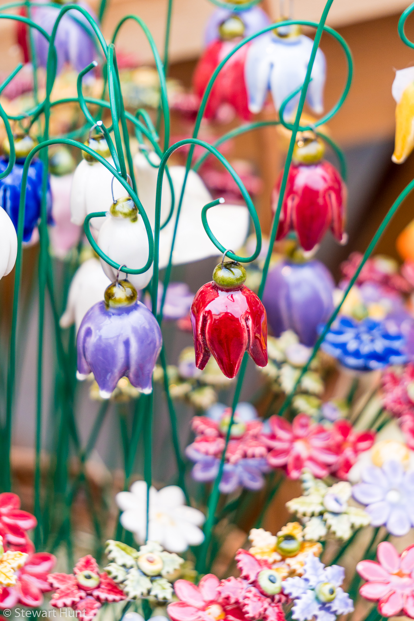 Vienna 2017 A6500 1857