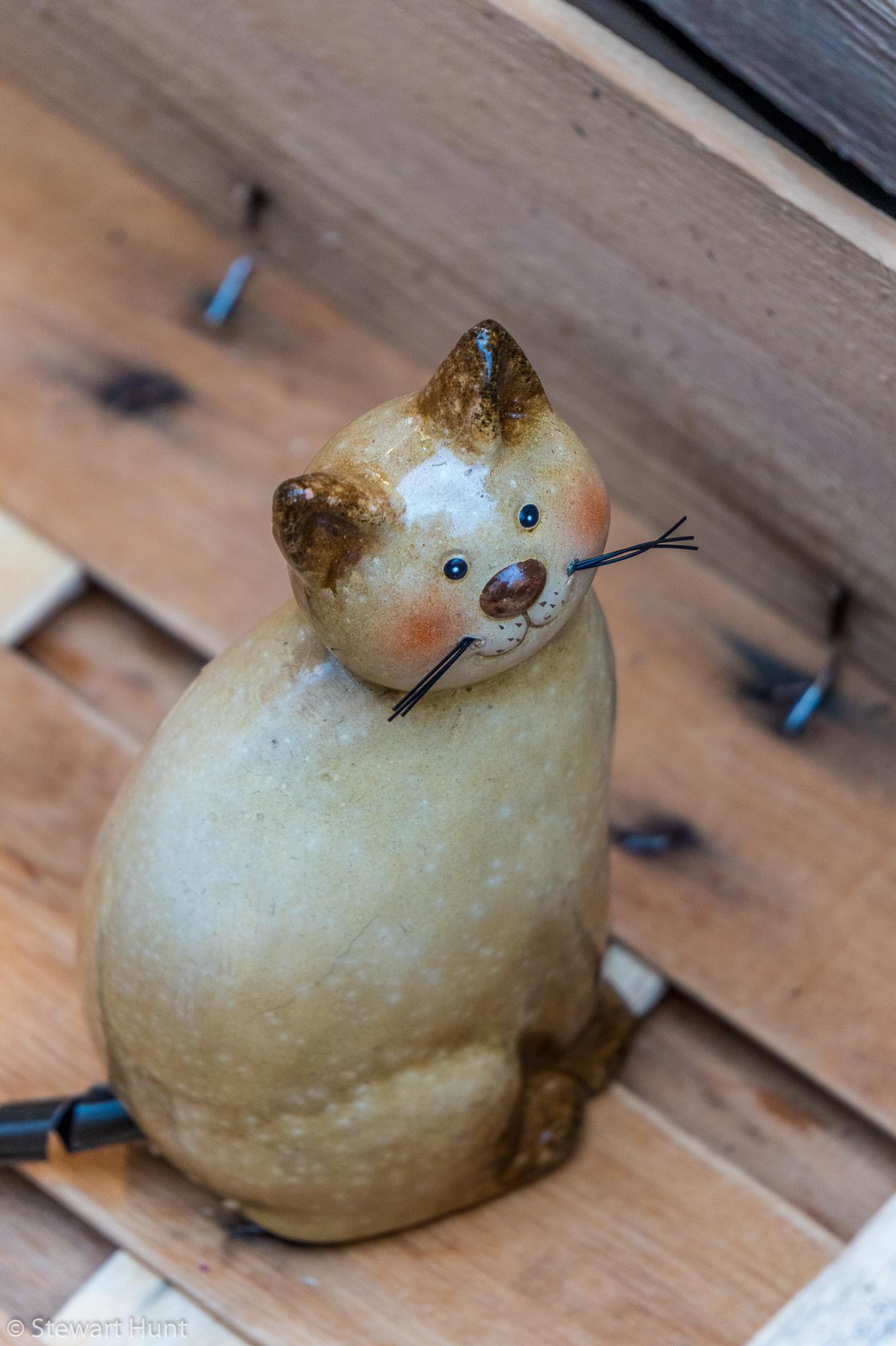 Vienna 2017 A6500 1900