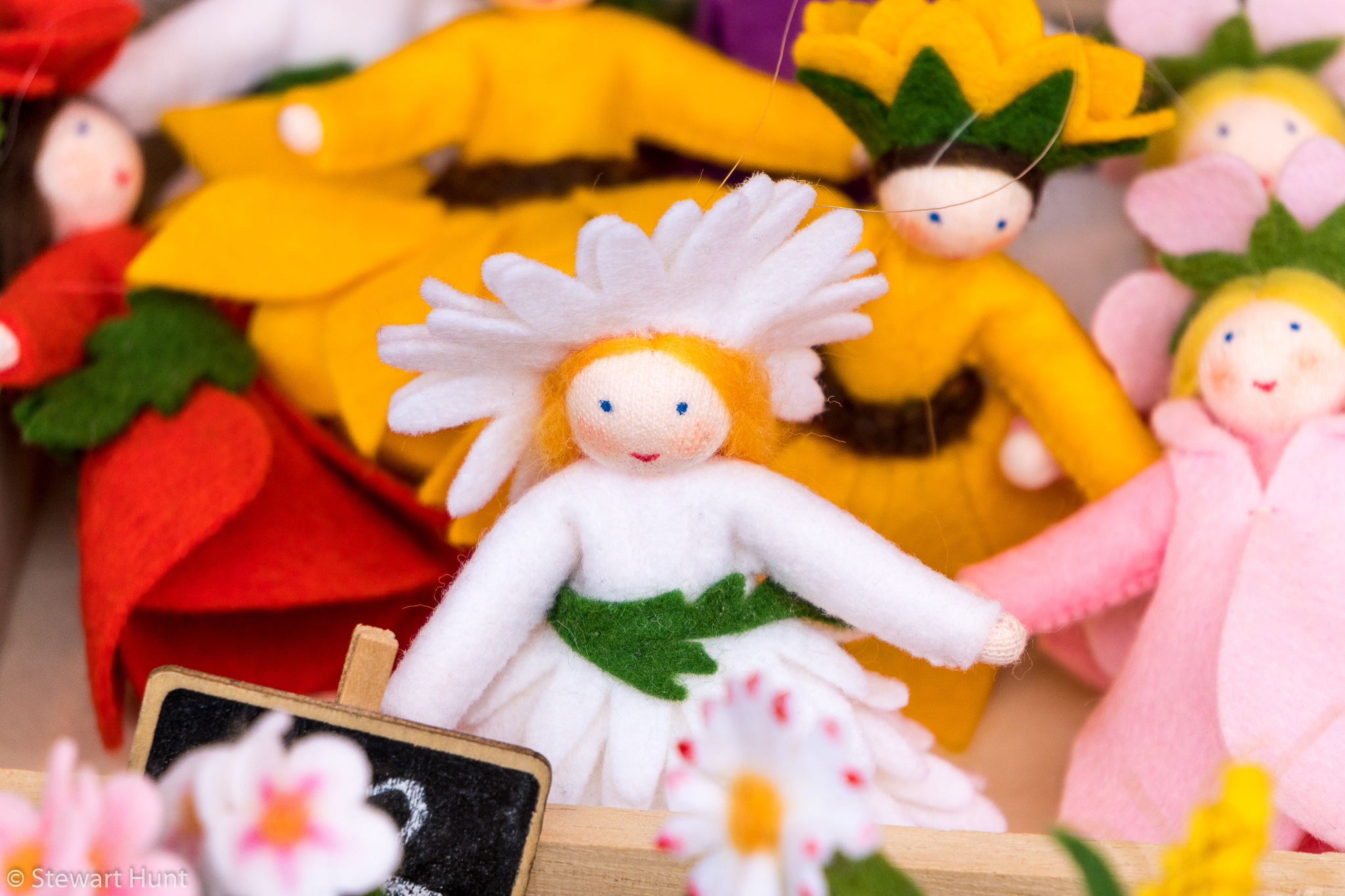 Vienna 2017 A6500 1997