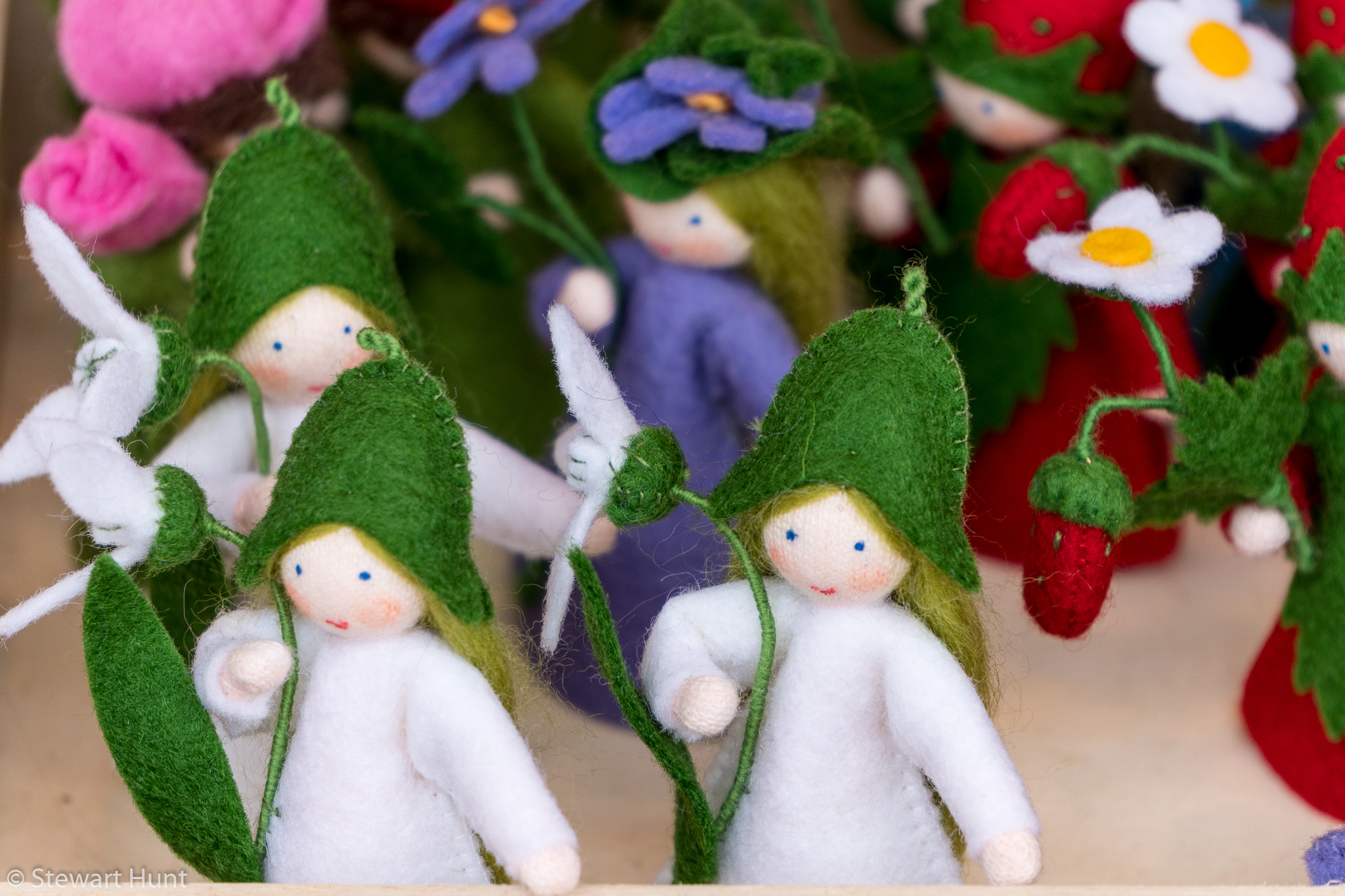 Vienna 2017 A6500 1999