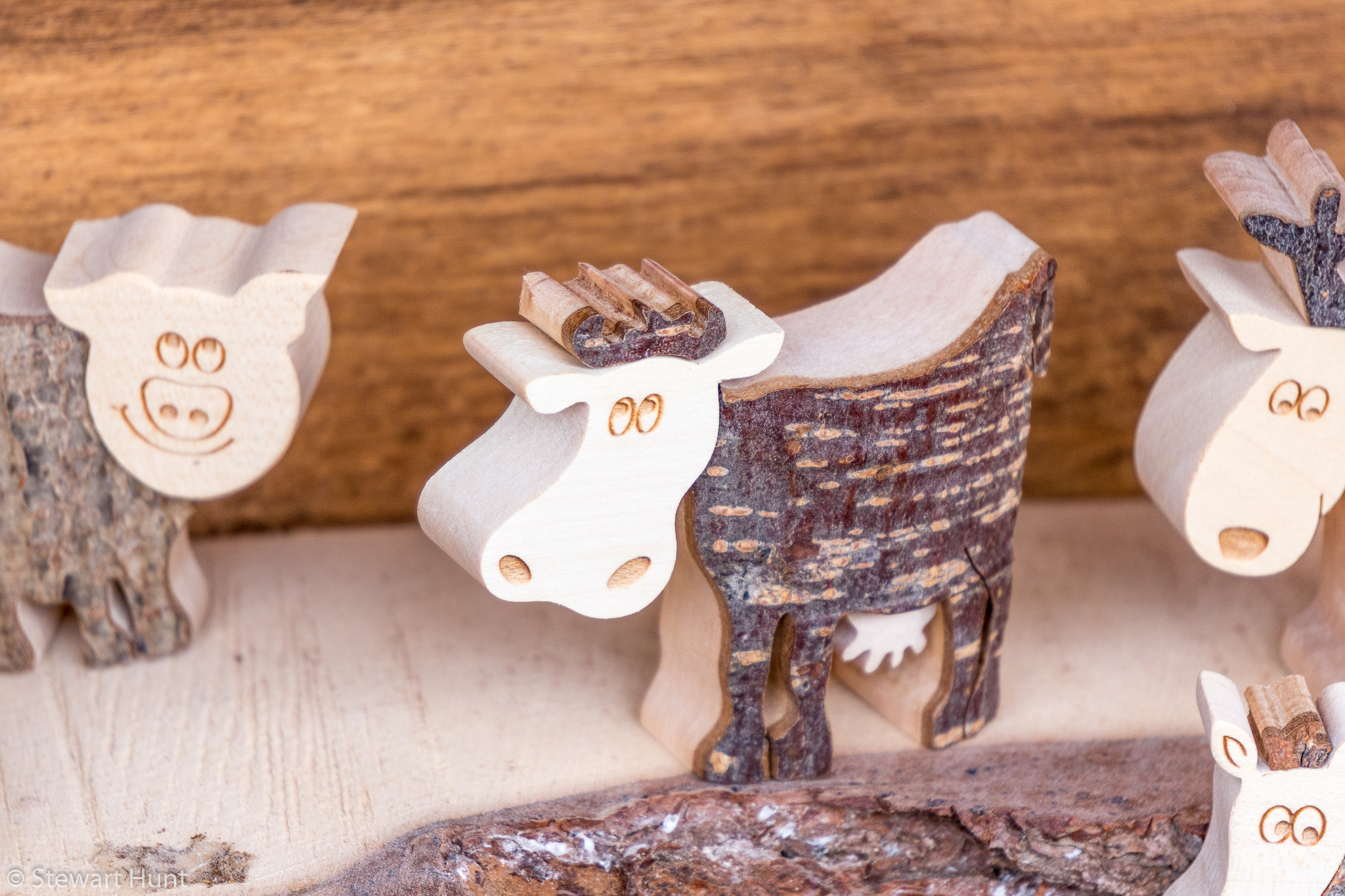 Vienna 2017 A6500 2109