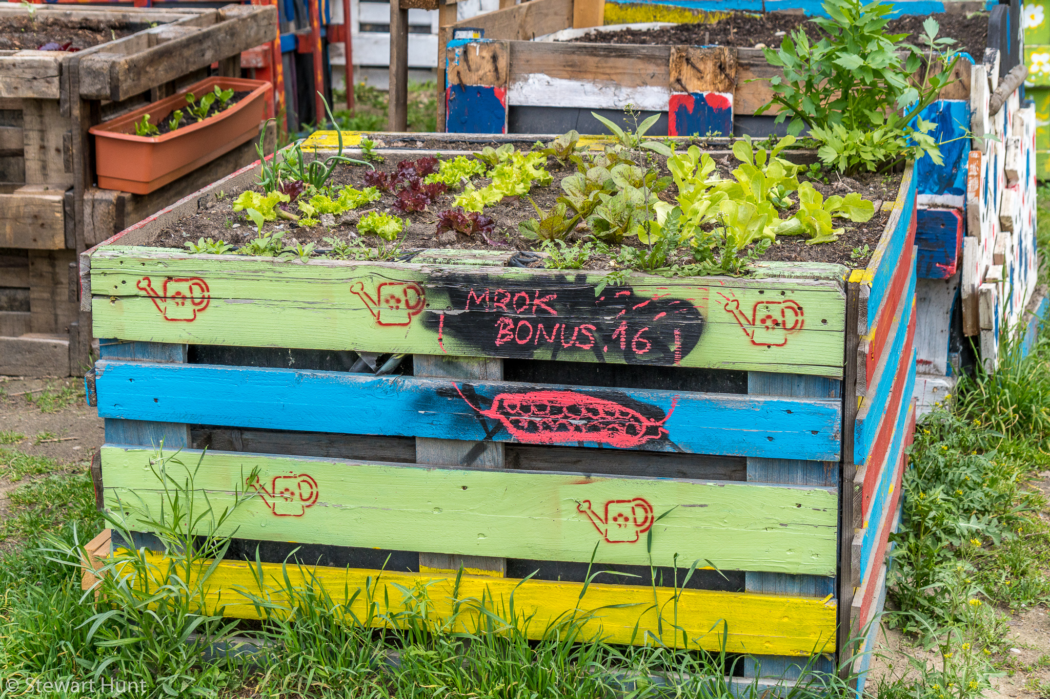 Vienna 2017 A6500 2311