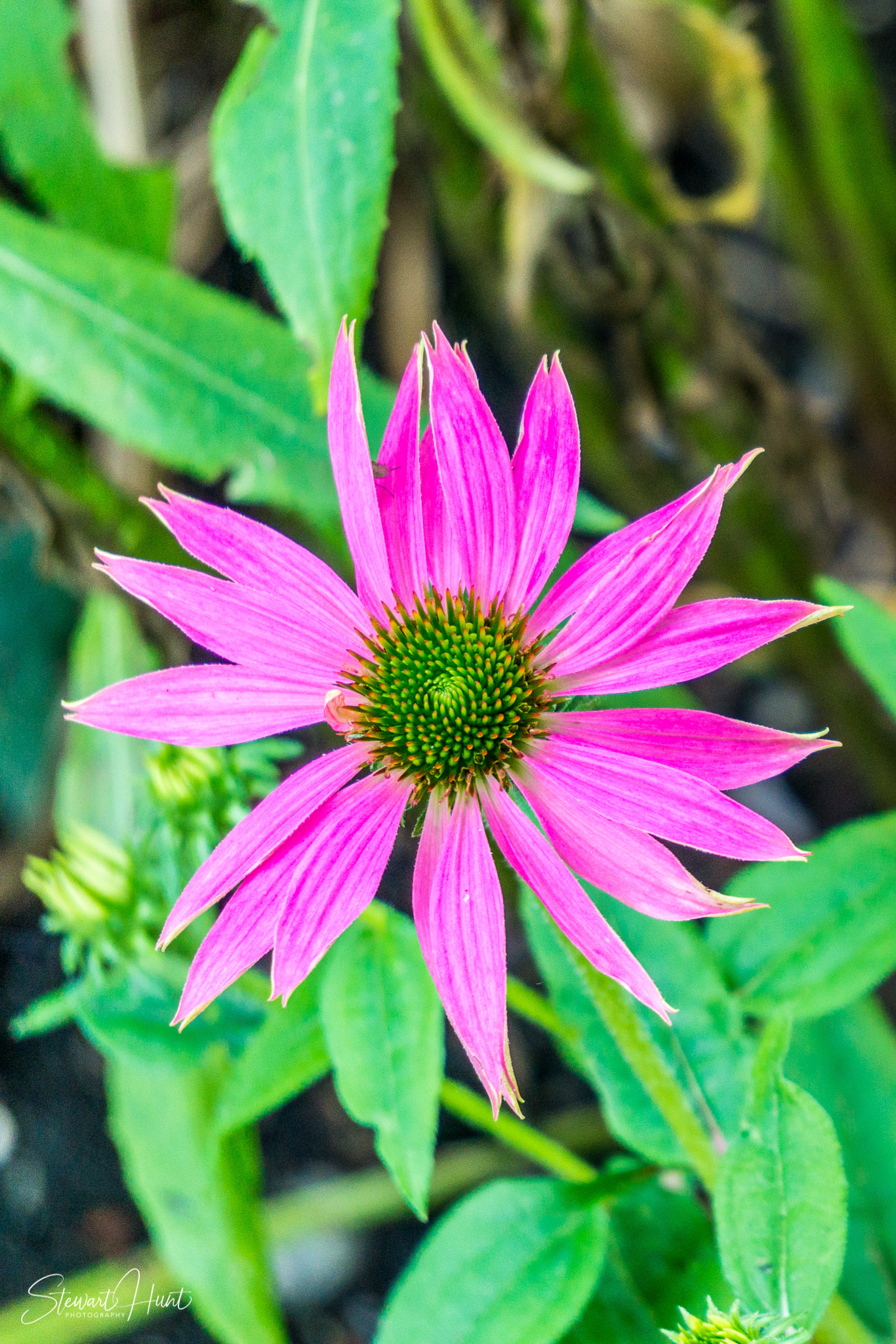 Kochel am See and Walcehsee and Walgau 0074