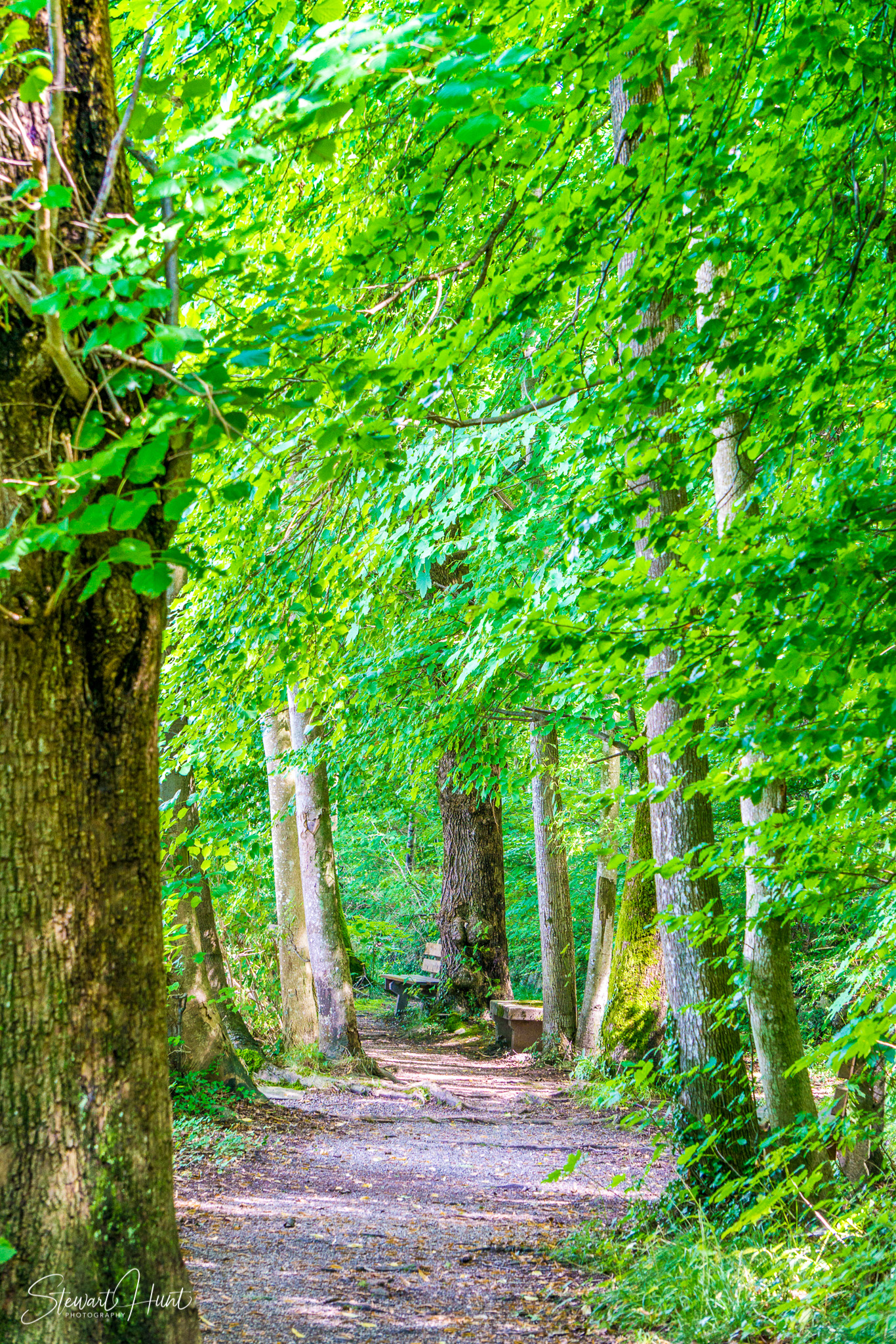 Kochel am See and Walcehsee and Walgau 0077