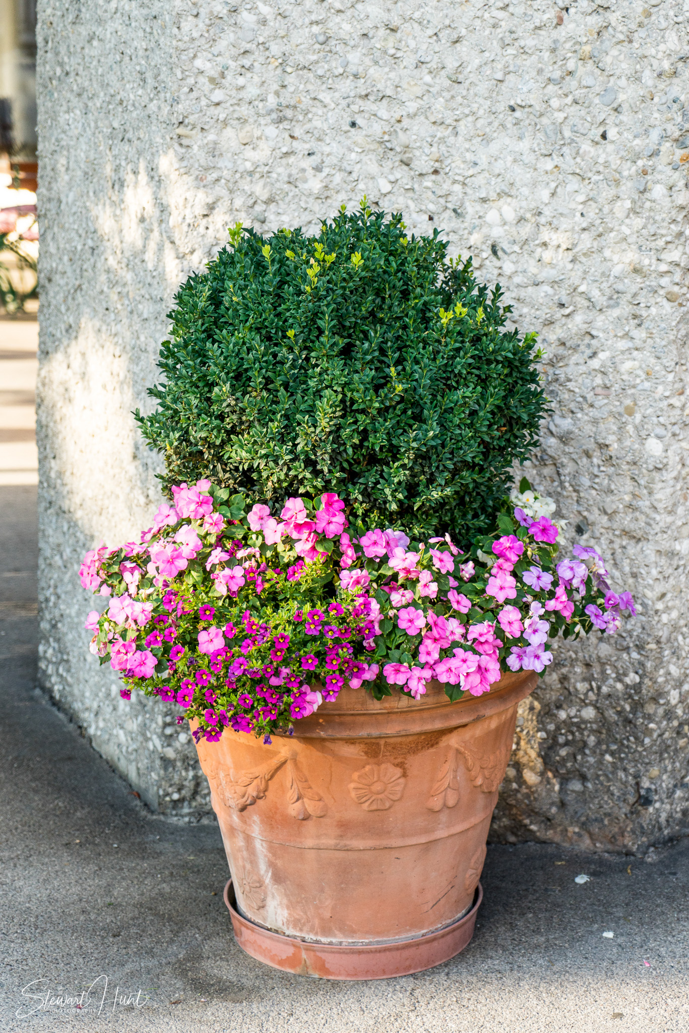 Kochel am See and Walcehsee and Walgau 03777