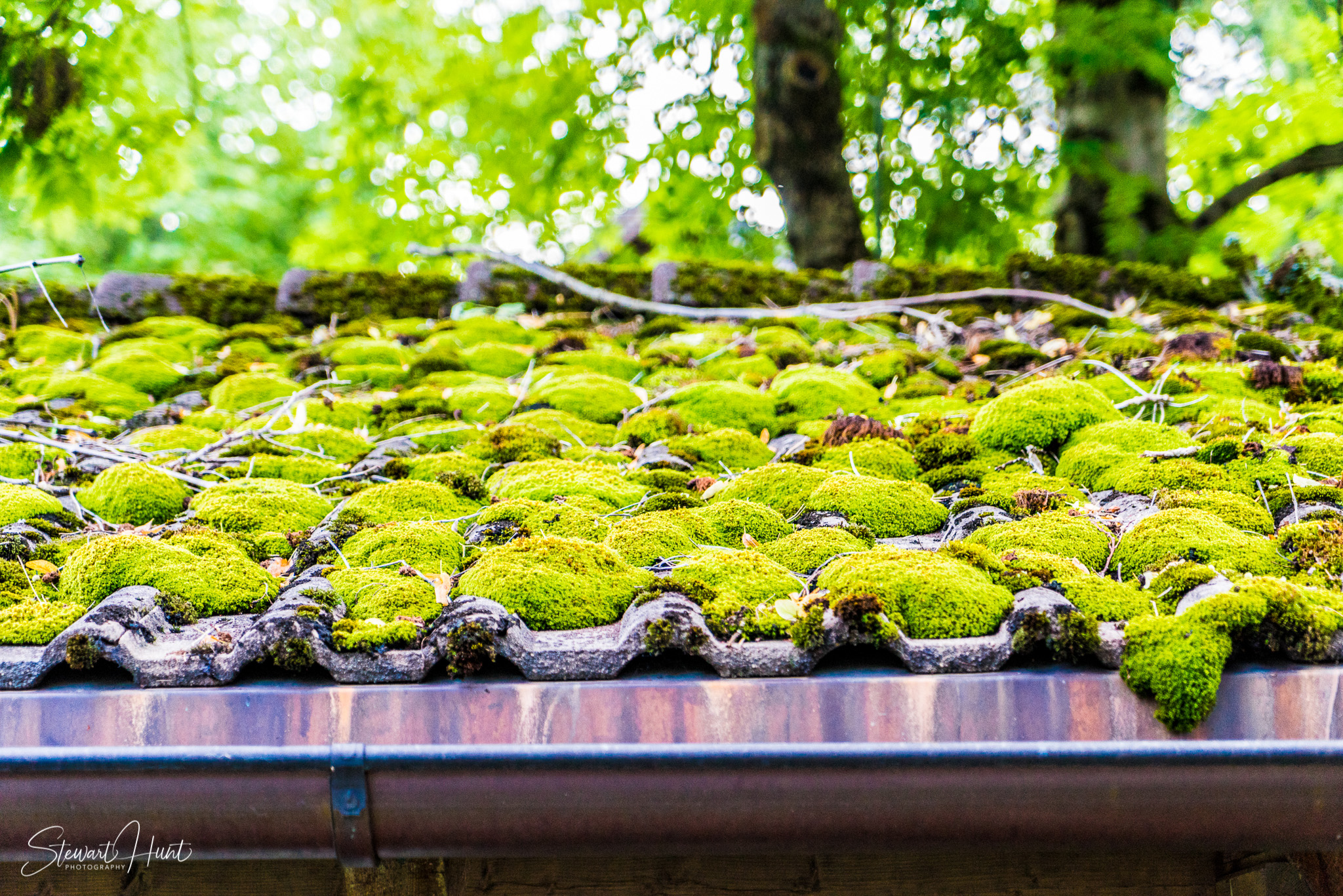 Kochel am See and Walcehsee and Walgau 03811